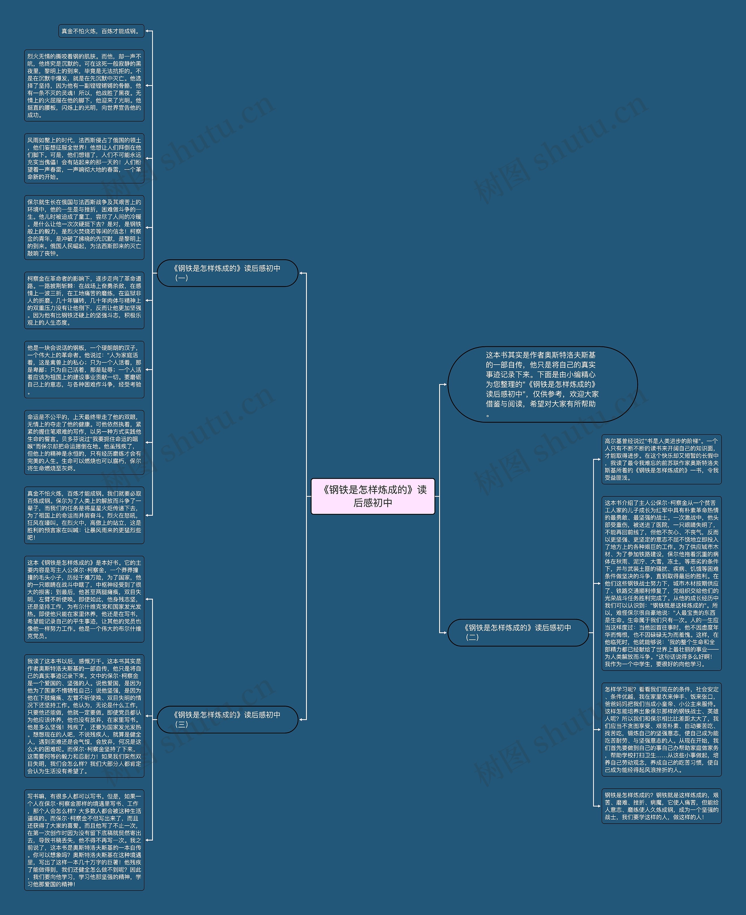 《钢铁是怎样炼成的》读后感初中思维导图