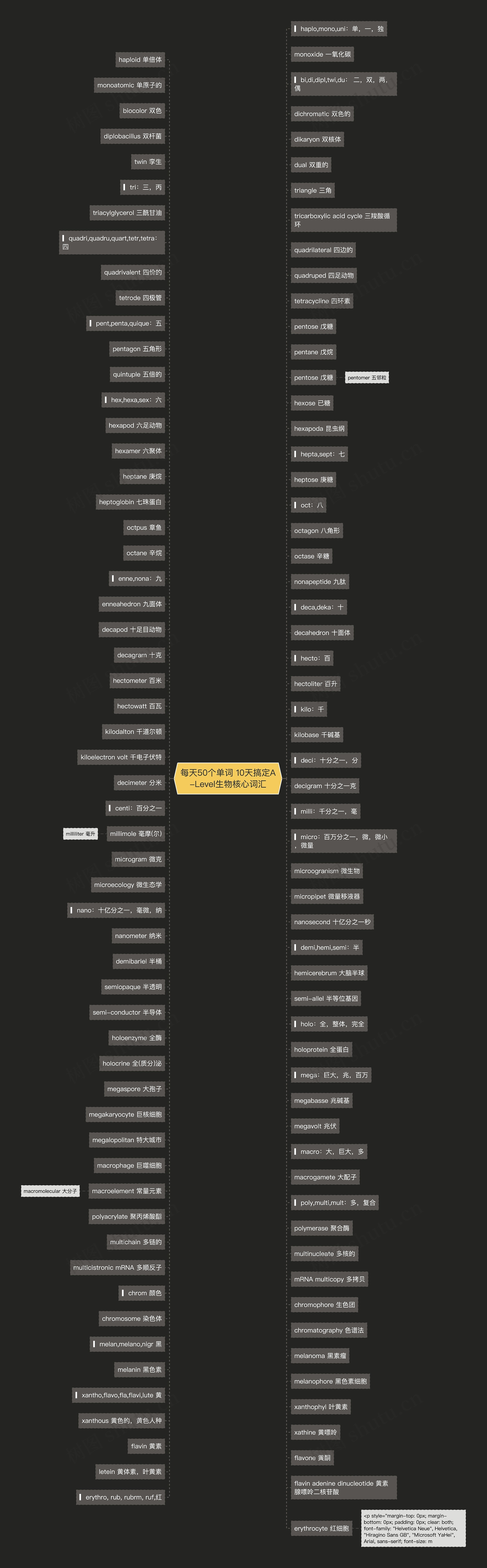每天50个单词 10天搞定A-Level生物核心词汇思维导图