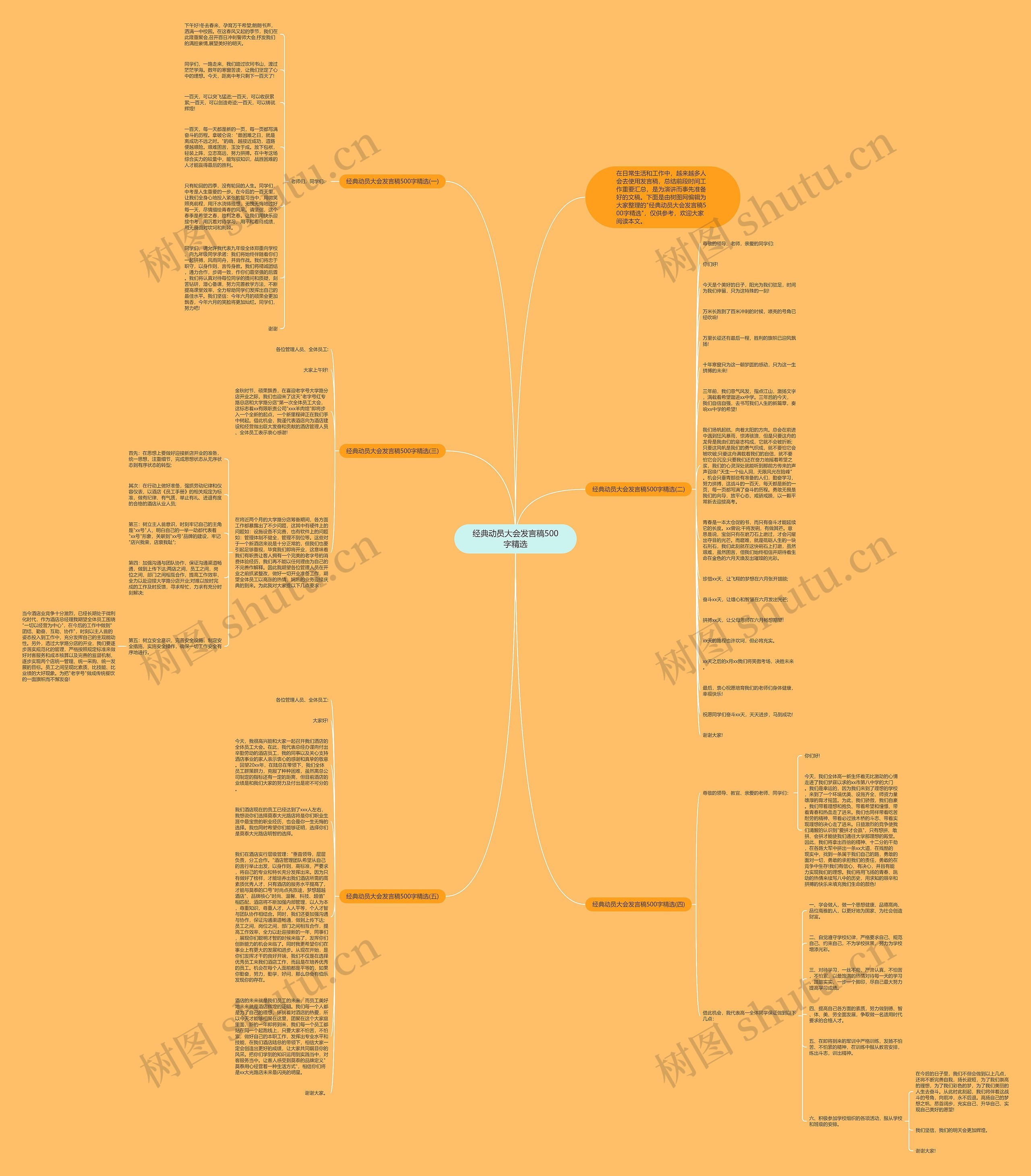 经典动员大会发言稿500字精选思维导图