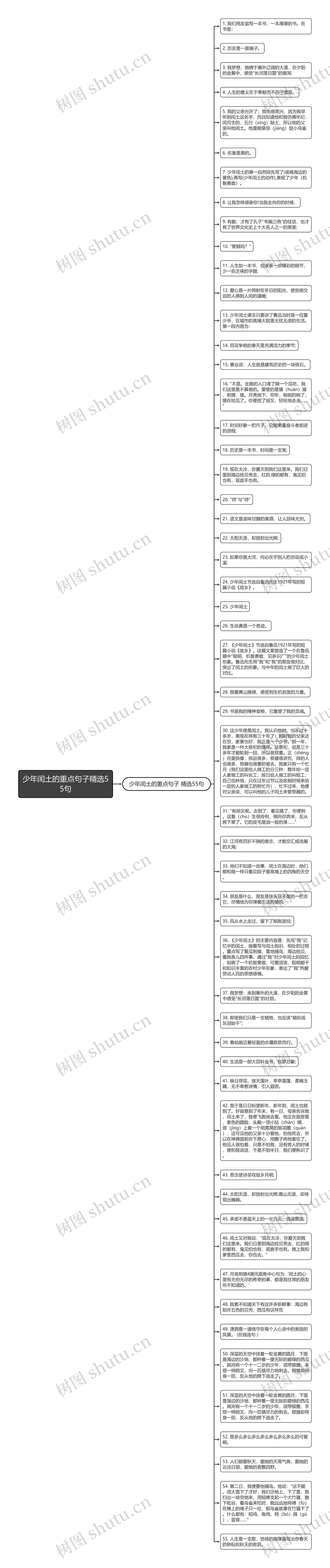 少年闰土的重点句子精选55句思维导图