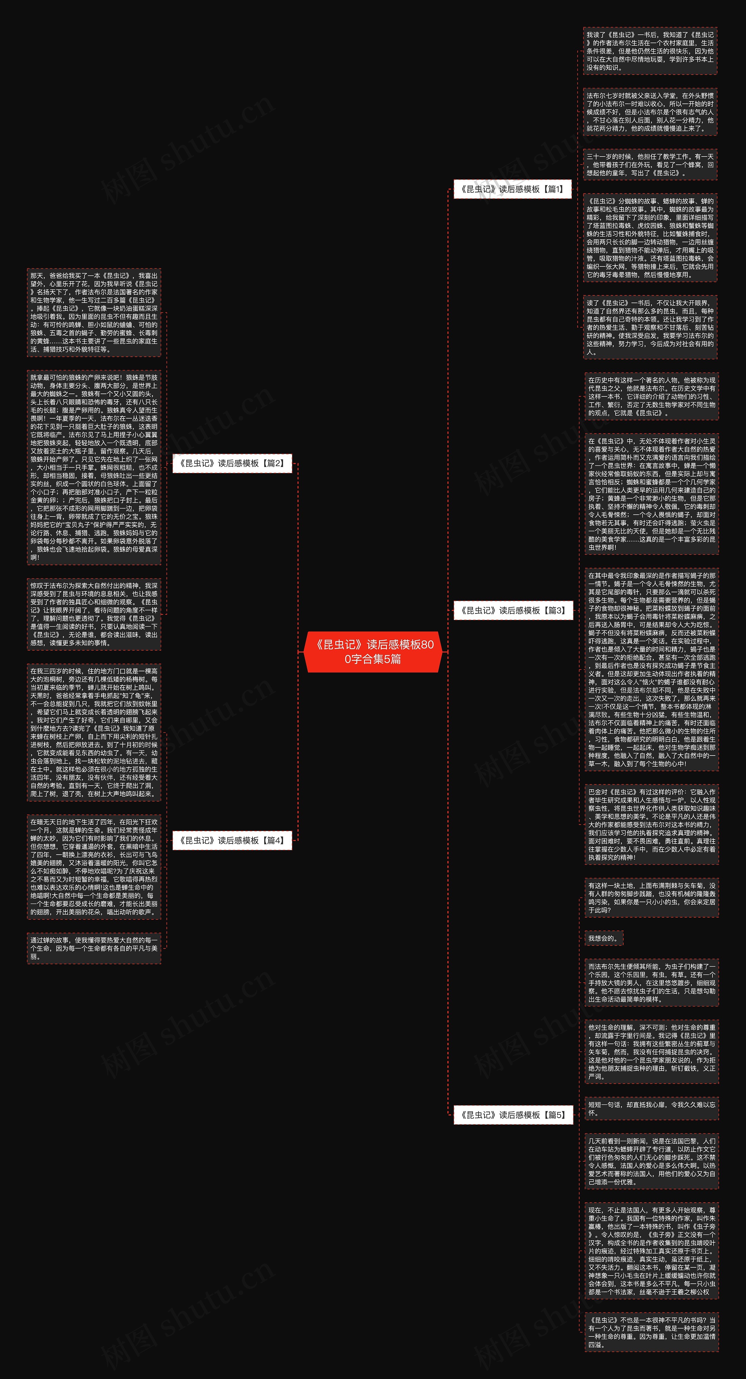 《昆虫记》读后感800字合集5篇思维导图