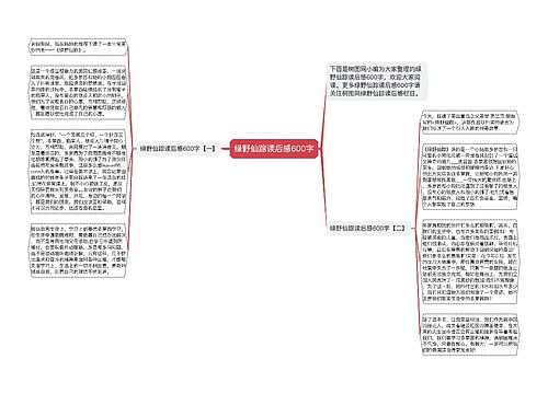 绿野仙踪读后感600字