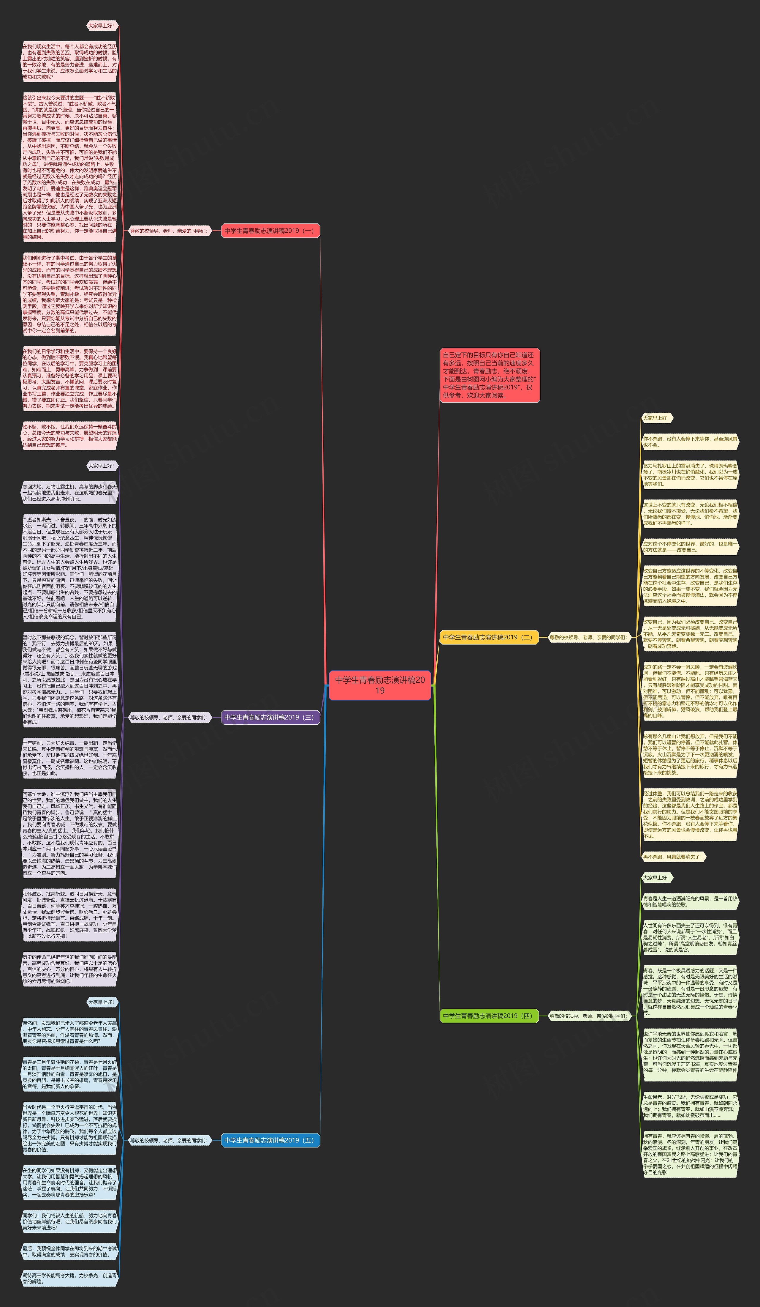中学生青春励志演讲稿2019思维导图