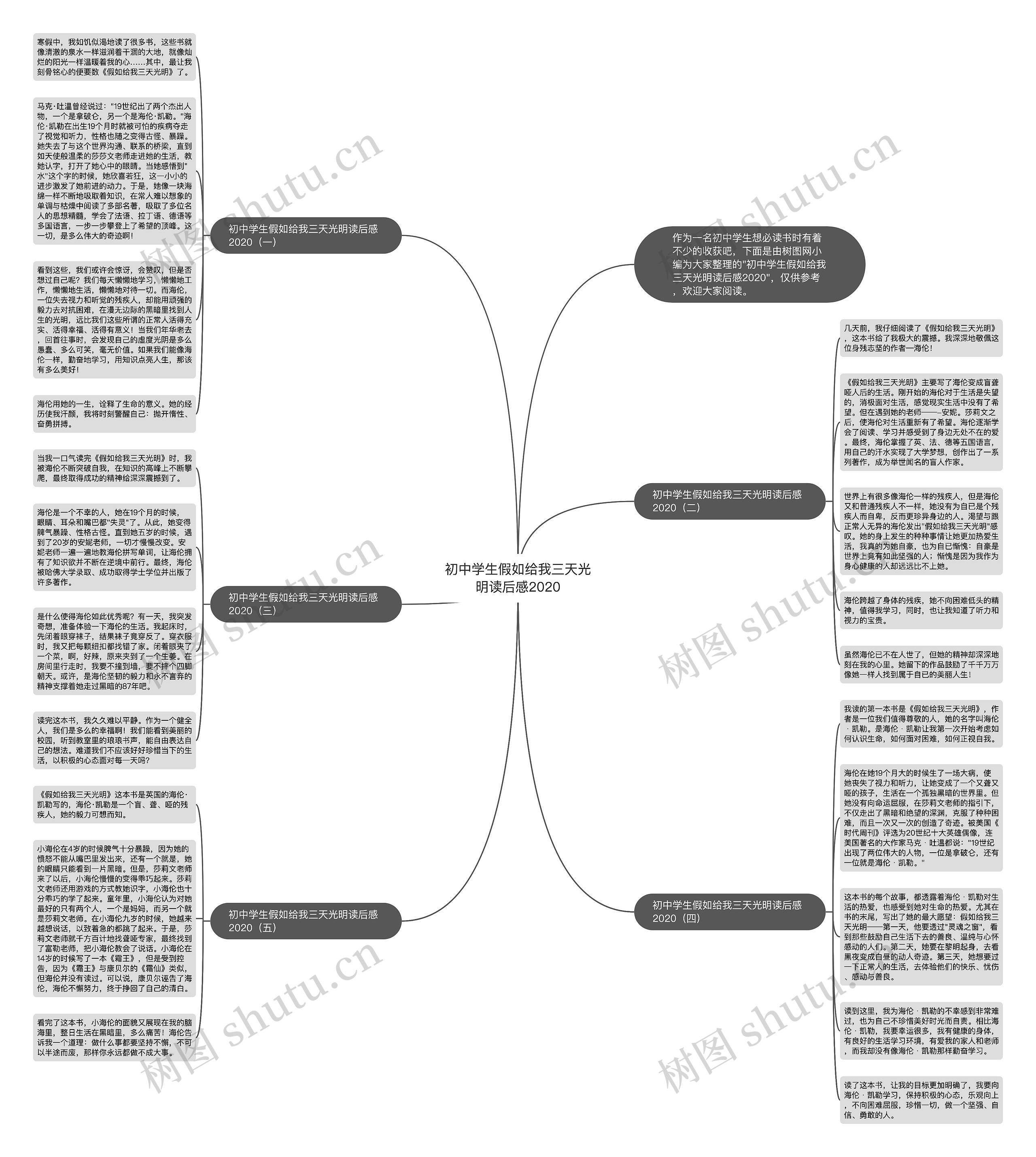 初中学生假如给我三天光明读后感2020思维导图