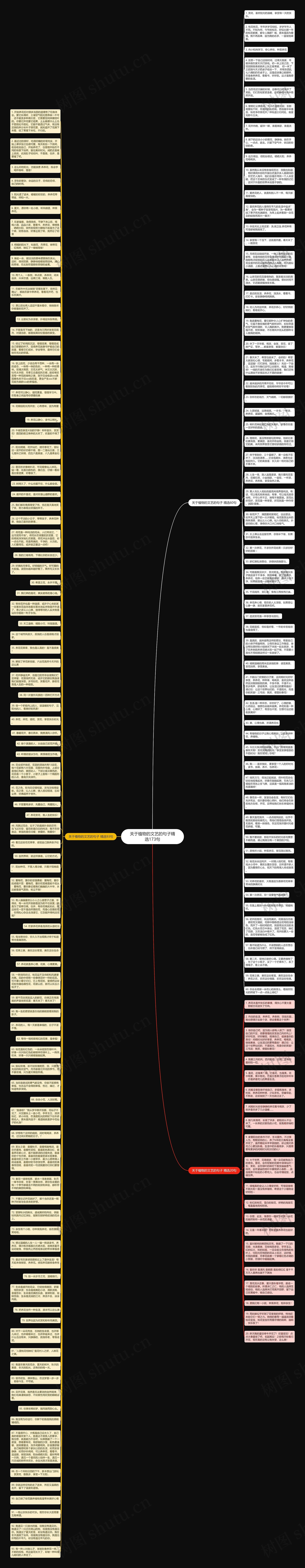 关于植物的文艺的句子精选173句