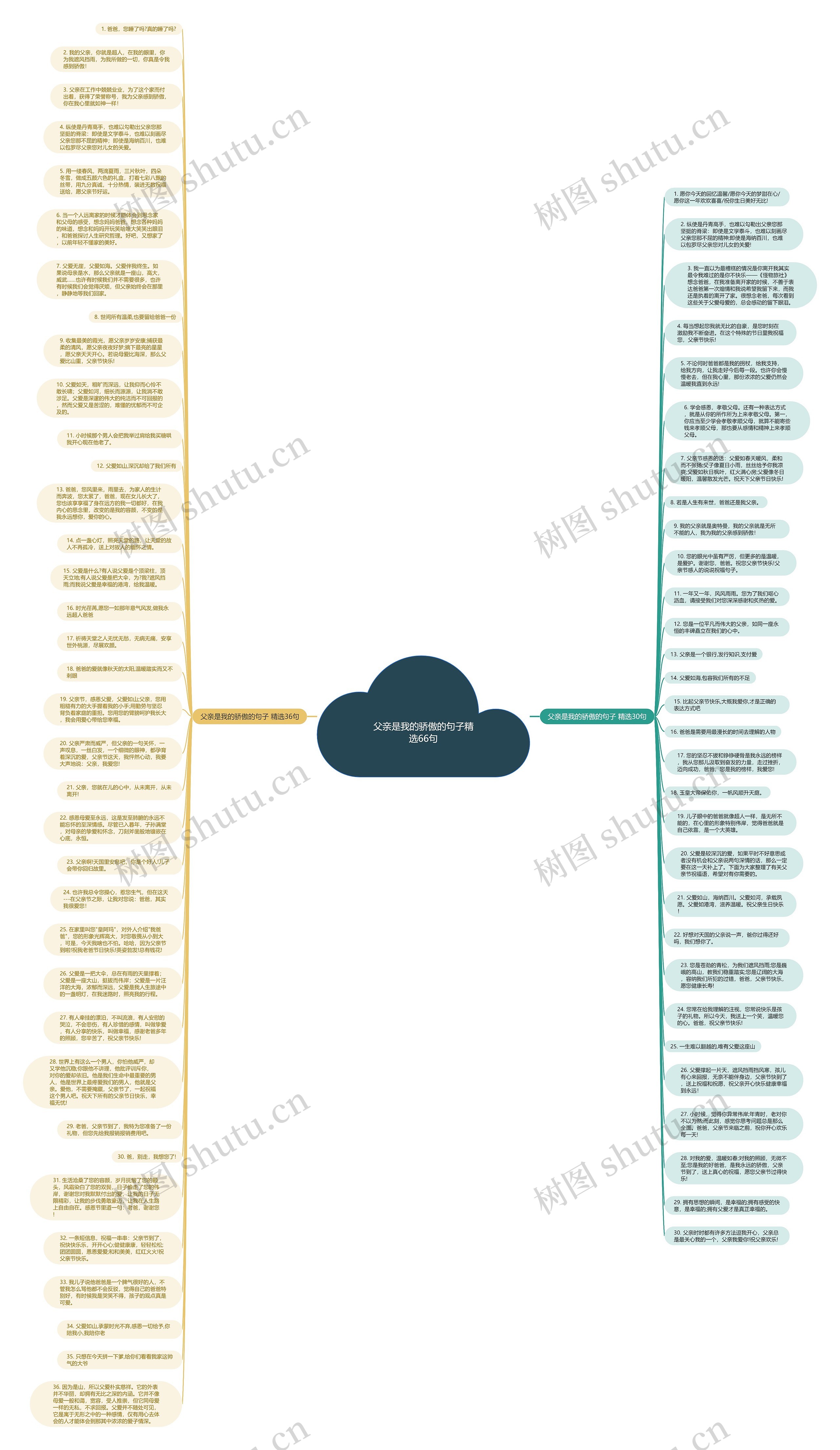 父亲是我的骄傲的句子精选66句思维导图