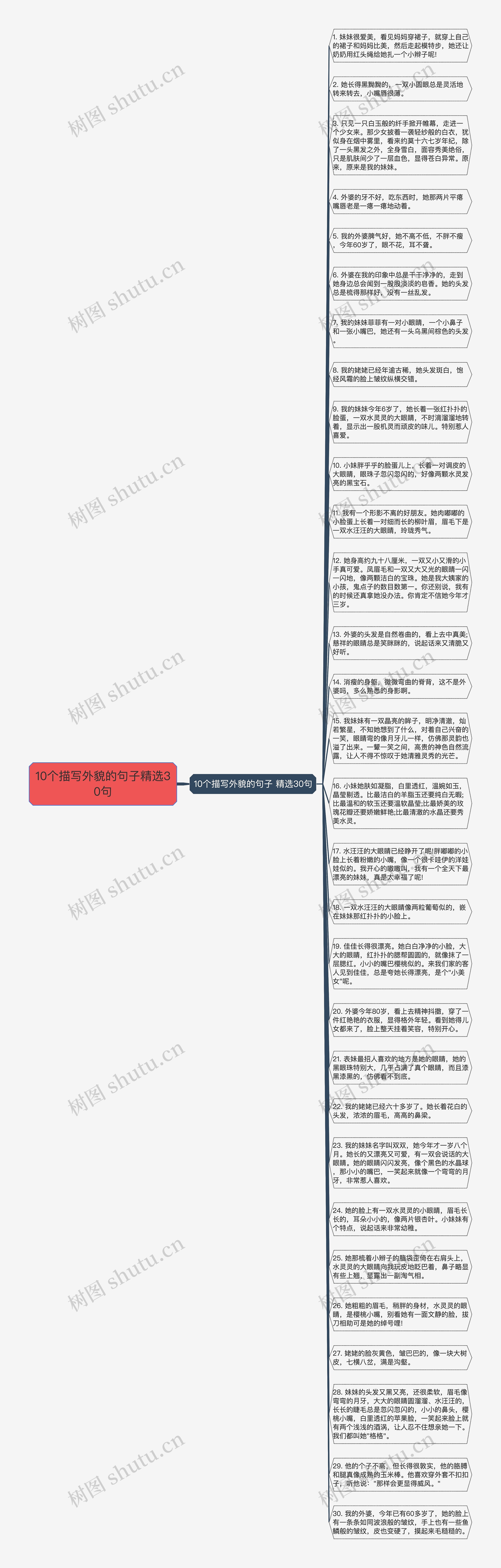 10个描写外貌的句子精选30句思维导图