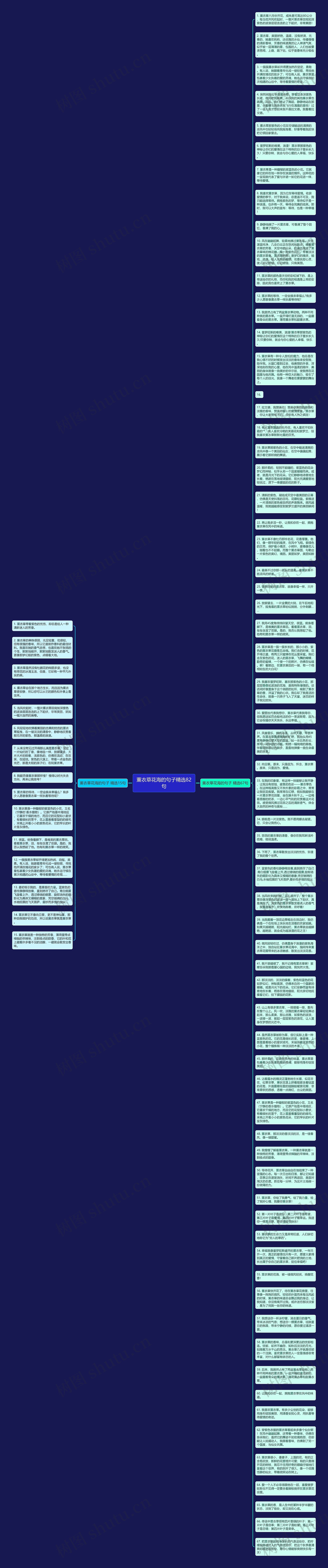 薰衣草花海的句子精选82句思维导图