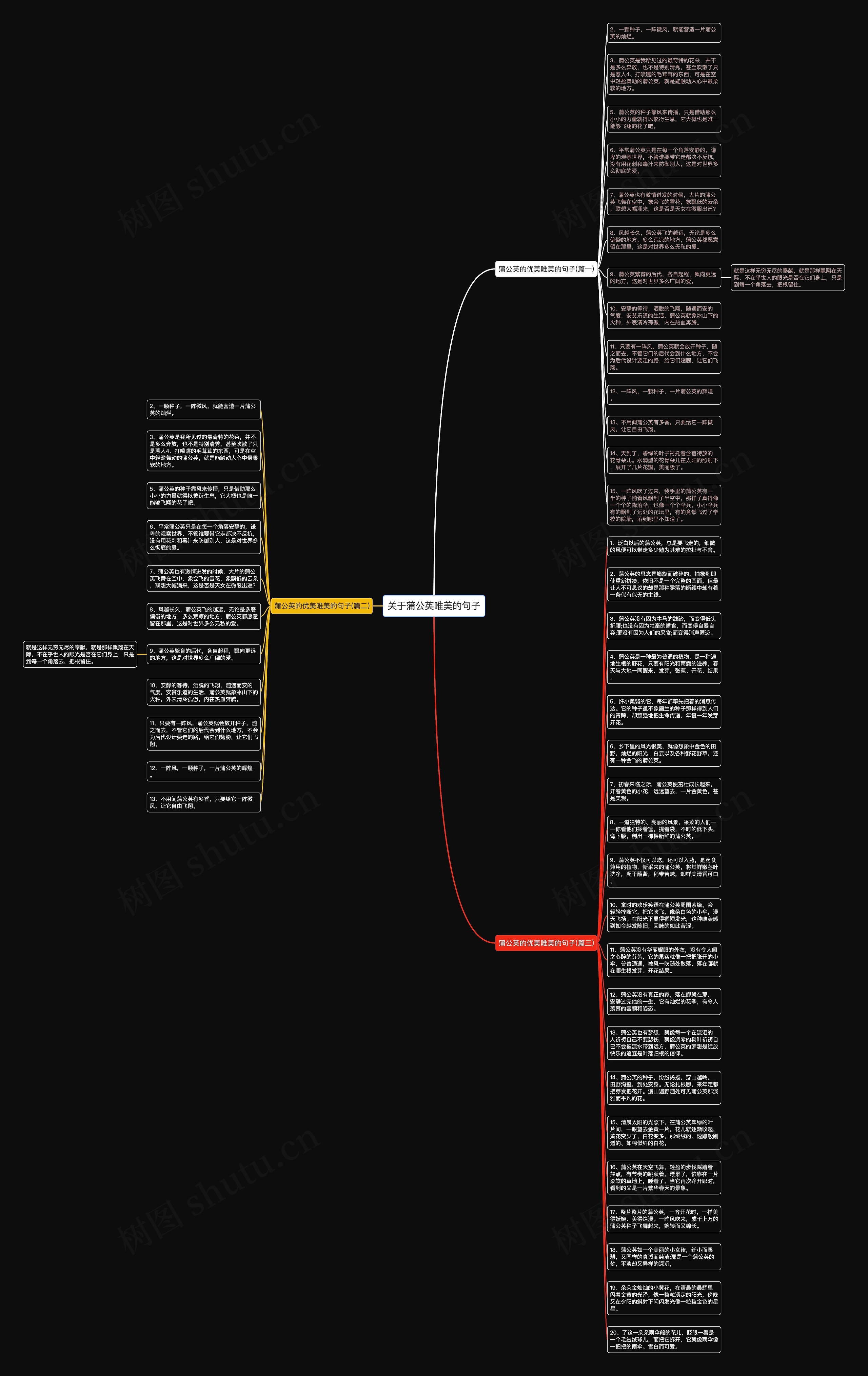 关于蒲公英唯美的句子思维导图