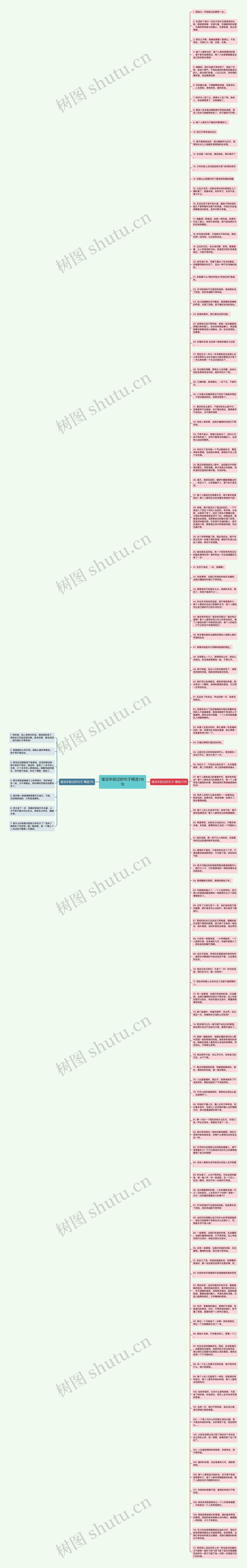 谁没年轻过的句子精选118句思维导图