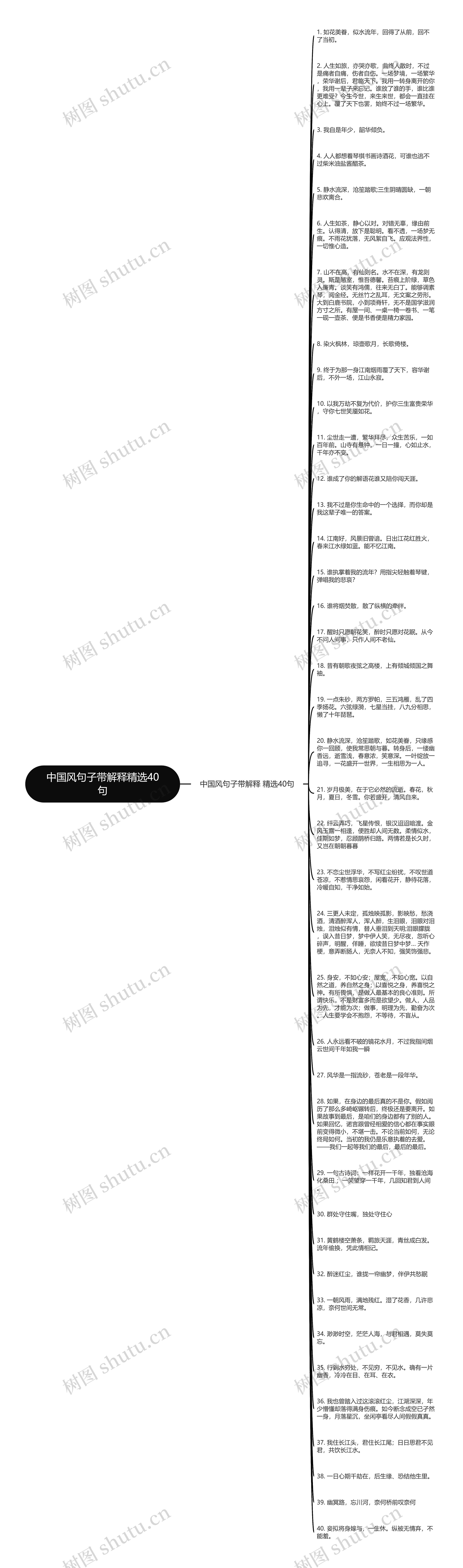 中国风句子带解释精选40句