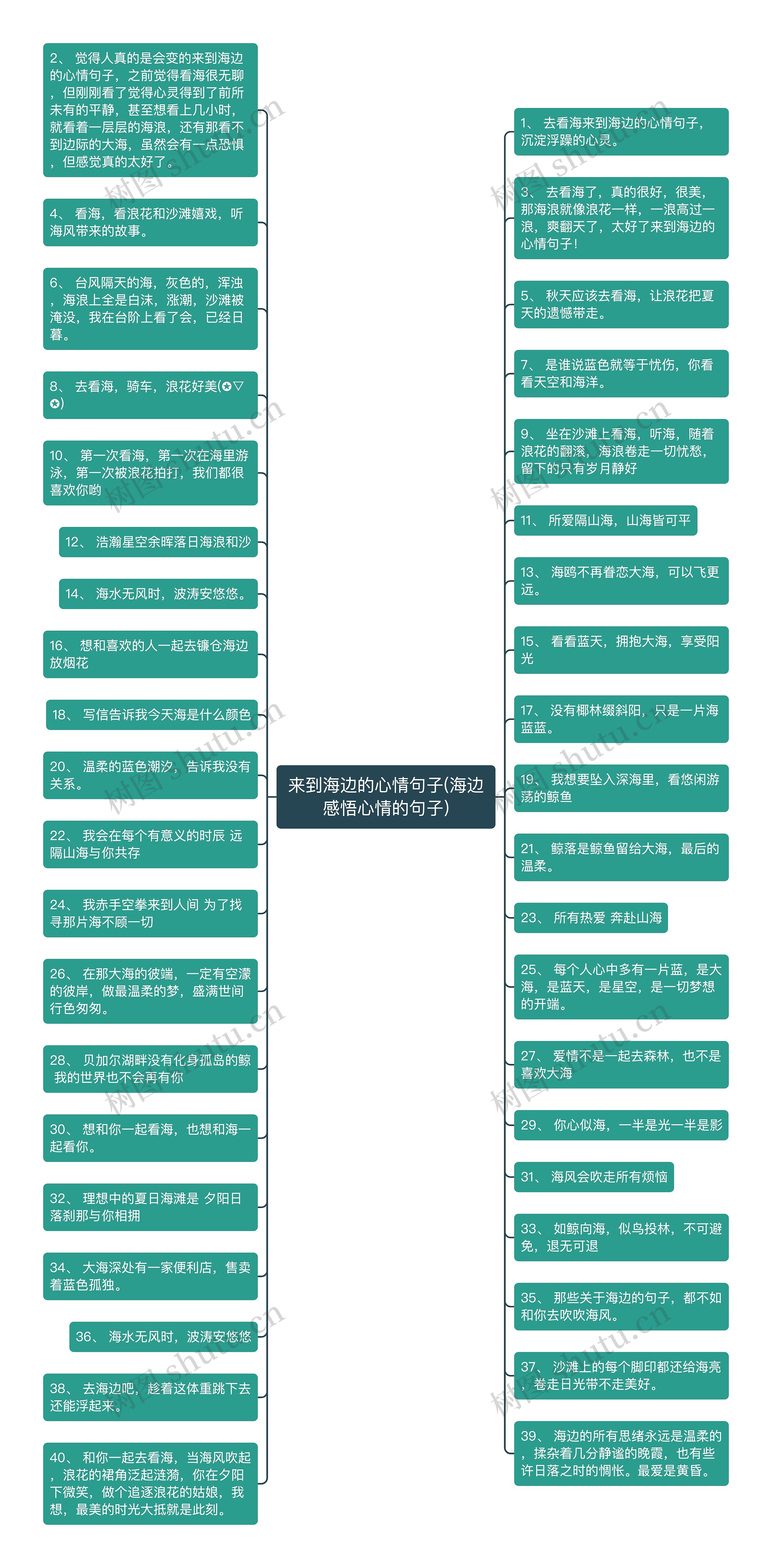 来到海边的心情句子(海边感悟心情的句子)思维导图