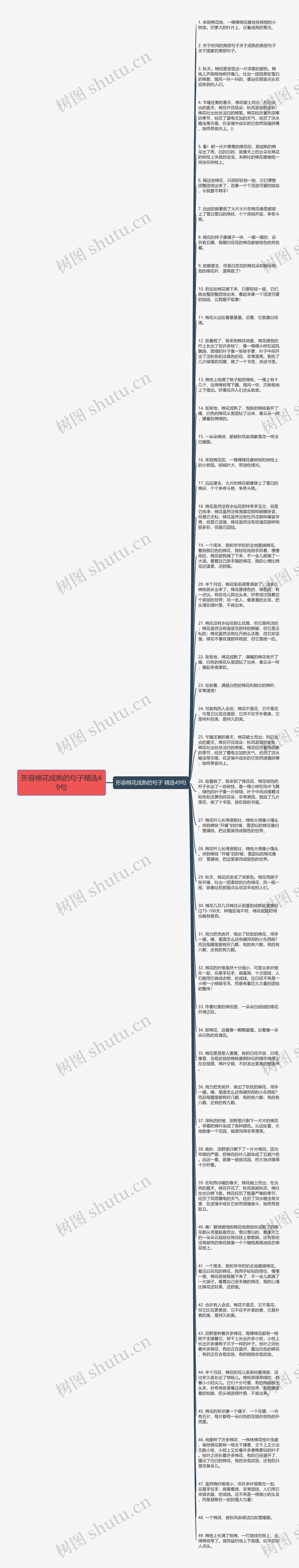 形容棉花成熟的句子精选49句