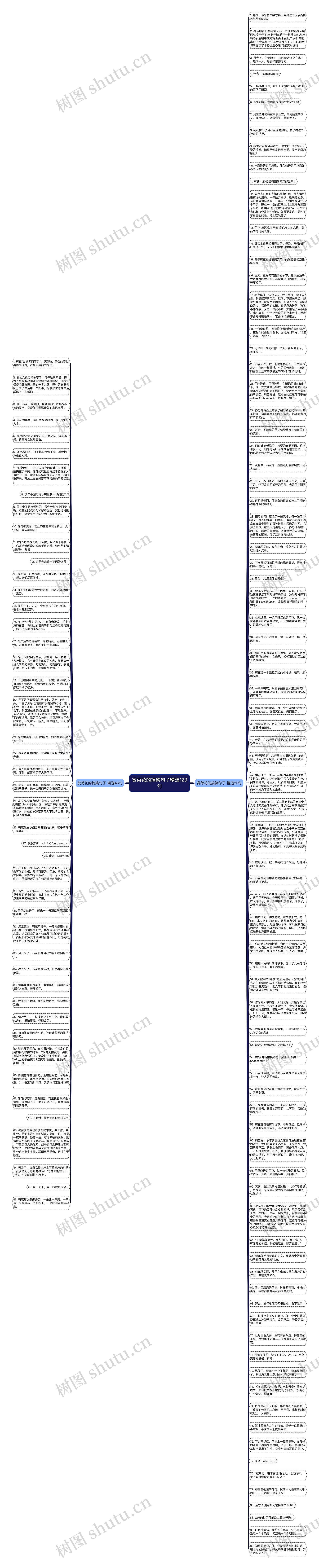 赏荷花的搞笑句子精选129句思维导图