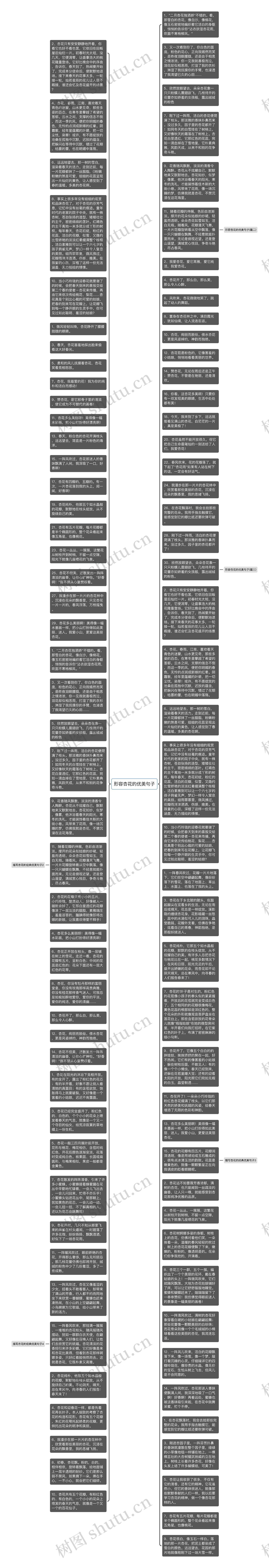 形容杏花的优美句子思维导图