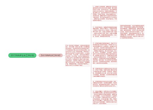 2017内科护士长工作计划
