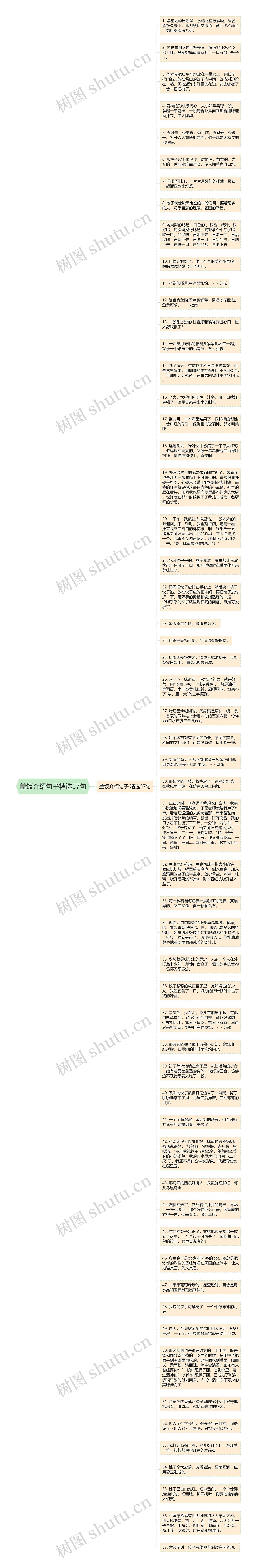 盖饭介绍句子精选57句思维导图