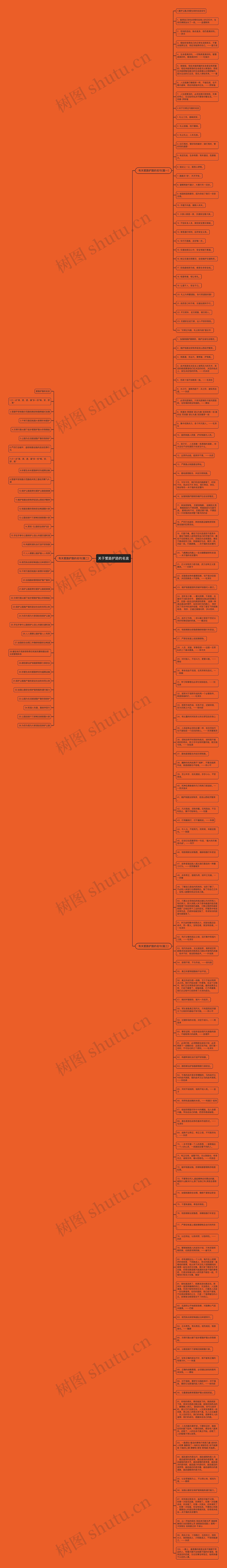 关于爱路护路的名言思维导图