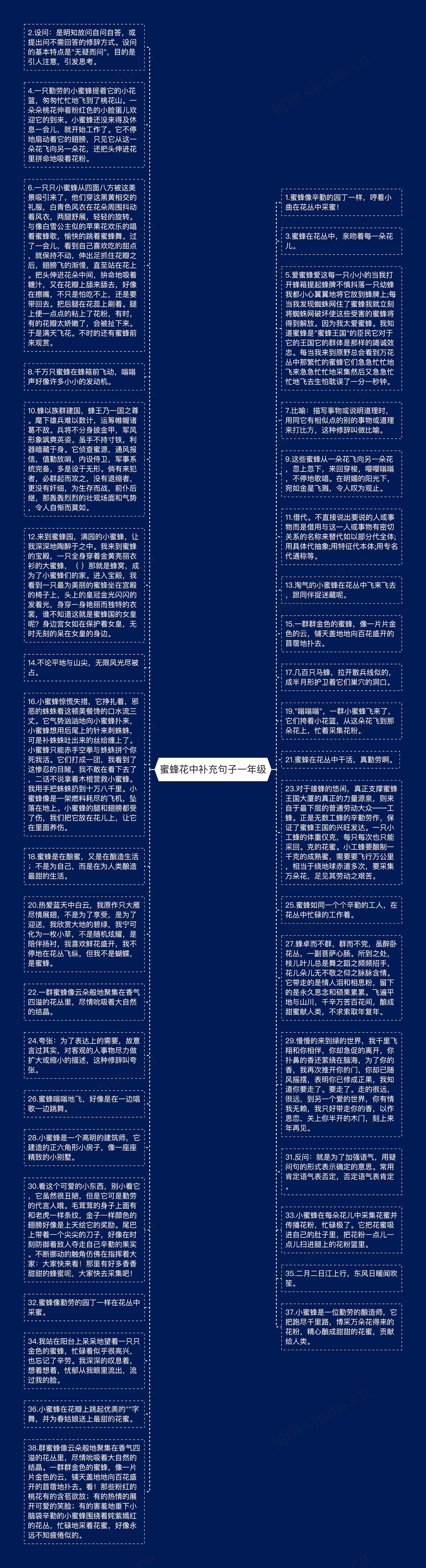 蜜蜂花中补充句子一年级思维导图