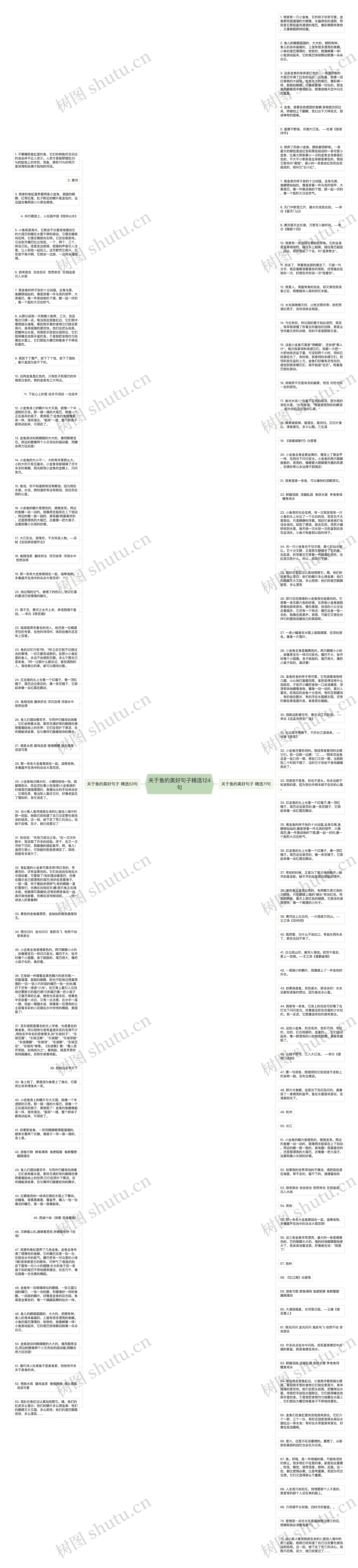 关于鱼的美好句子精选124句思维导图