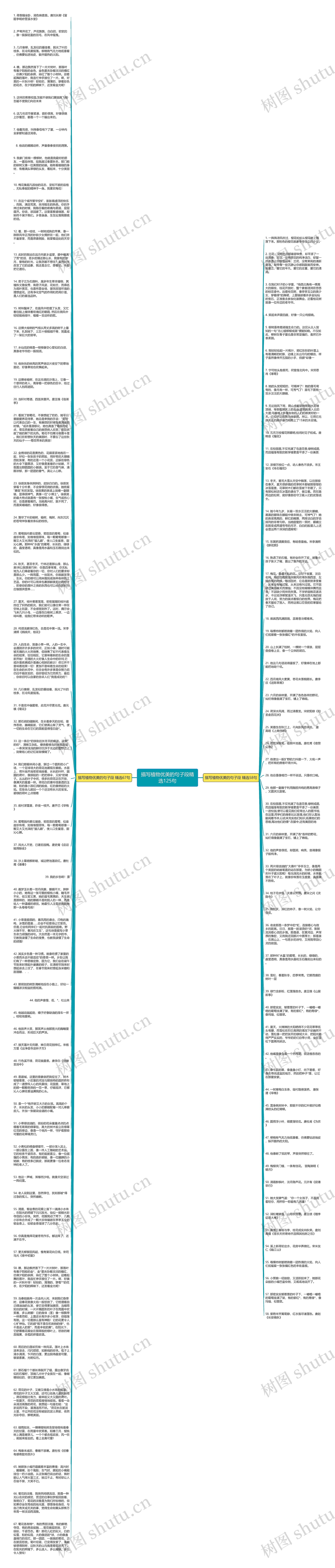描写植物优美的句子段精选125句思维导图