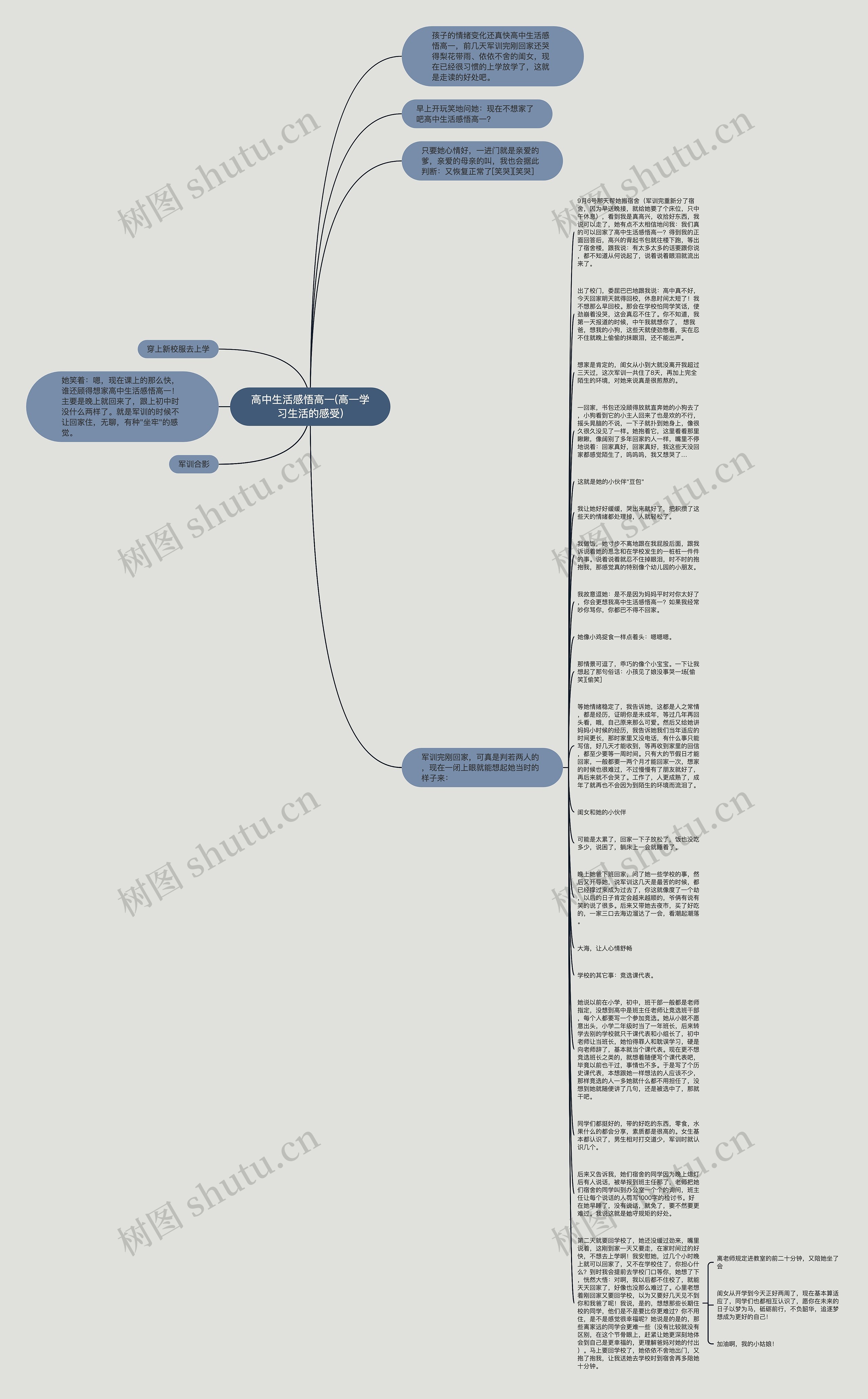 高中生活感悟高一(高一学习生活的感受)思维导图
