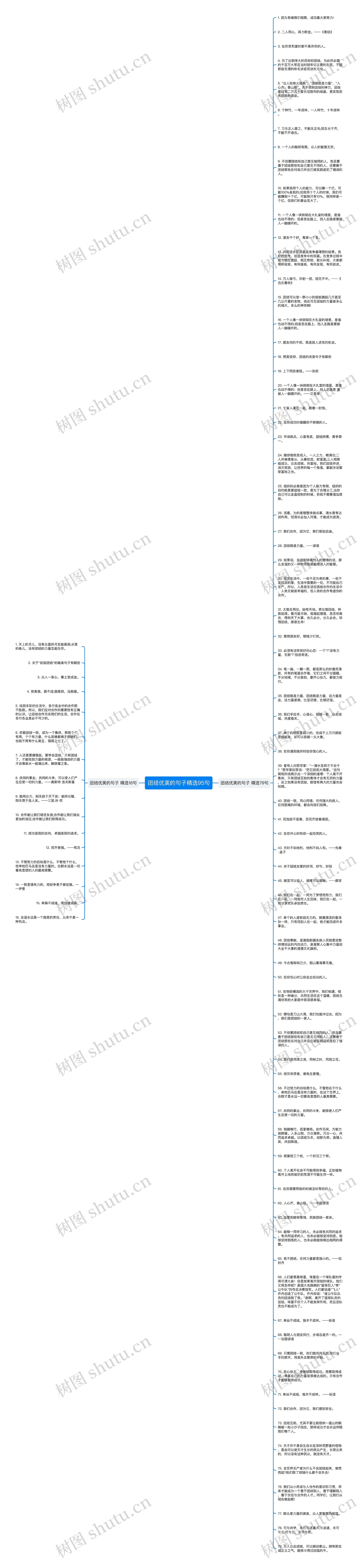 团结优美的句子精选95句