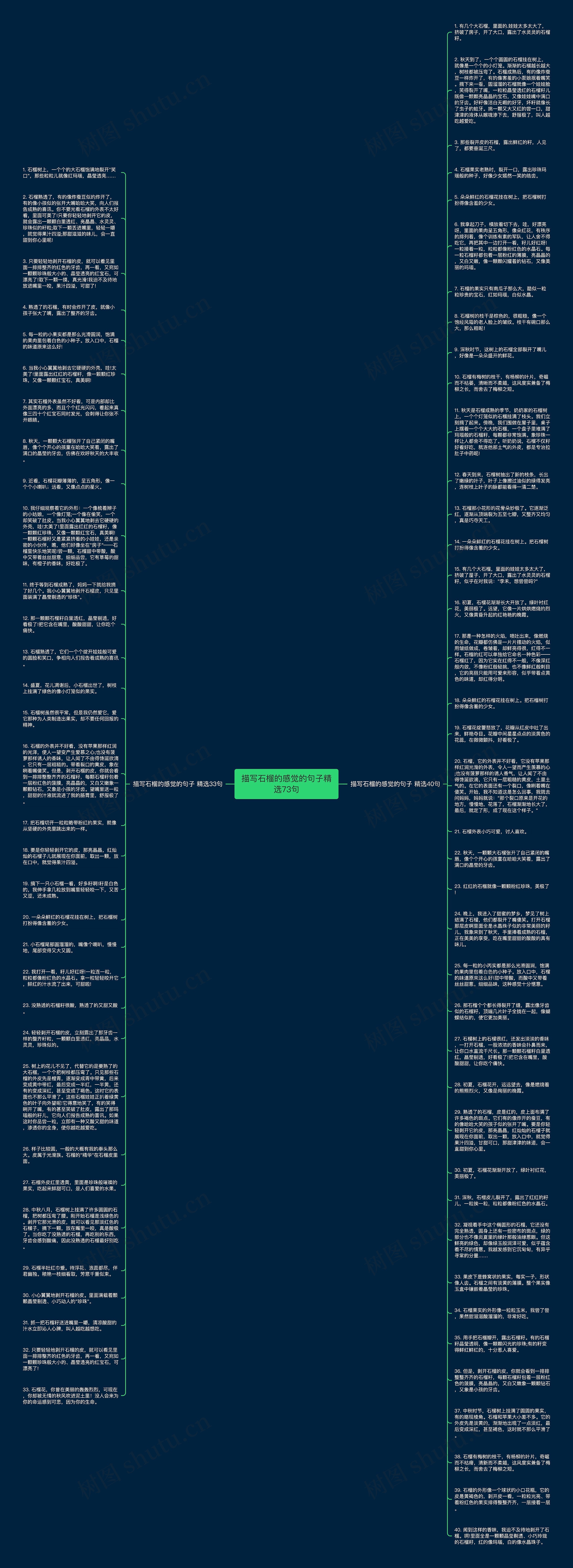 描写石榴的感觉的句子精选73句思维导图
