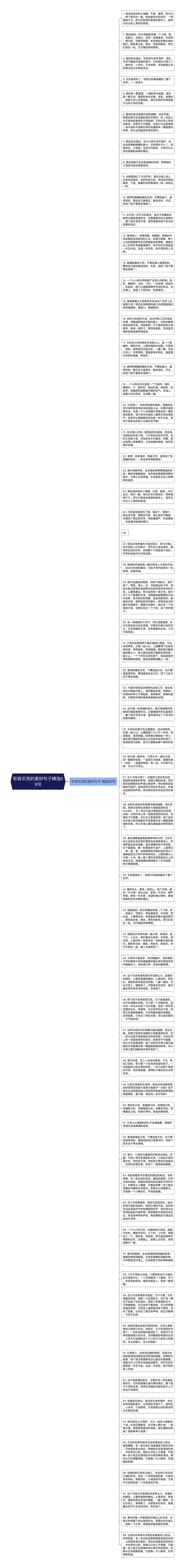 形容贝壳的美好句子精选69句思维导图