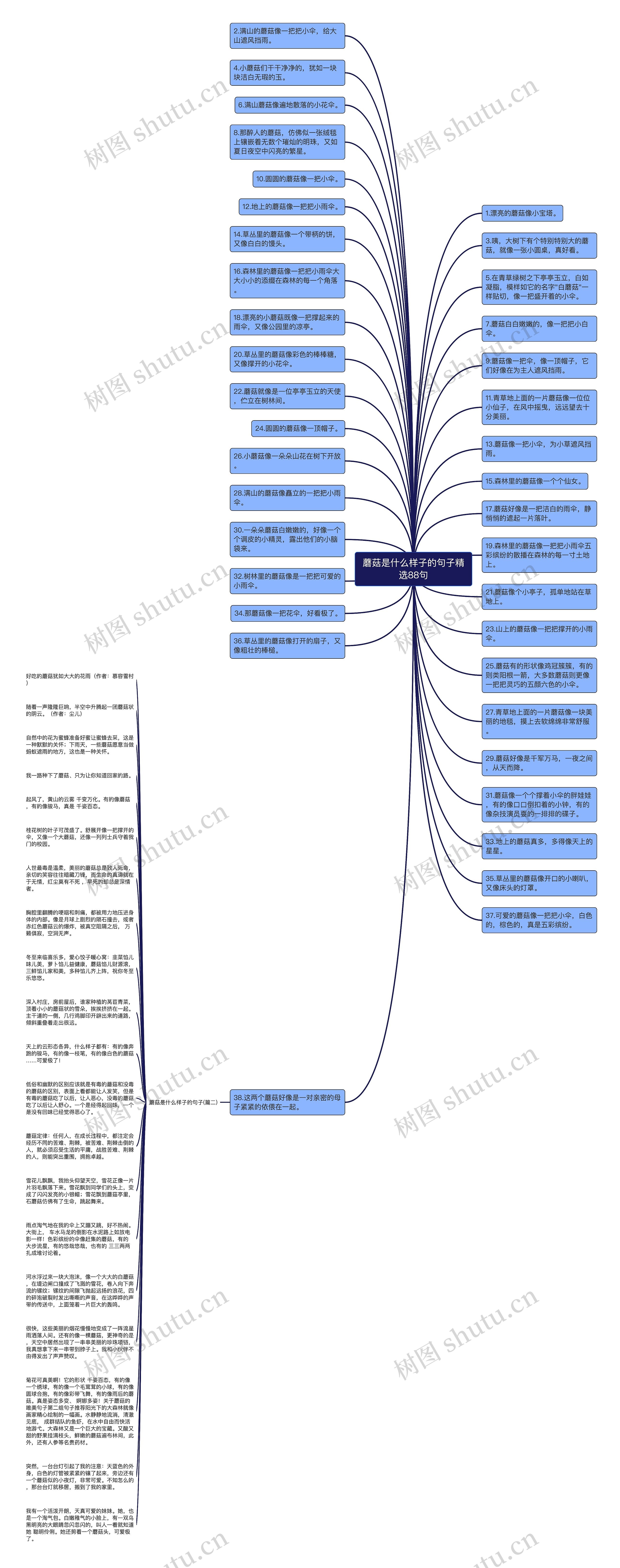 蘑菇是什么样子的句子精选88句思维导图