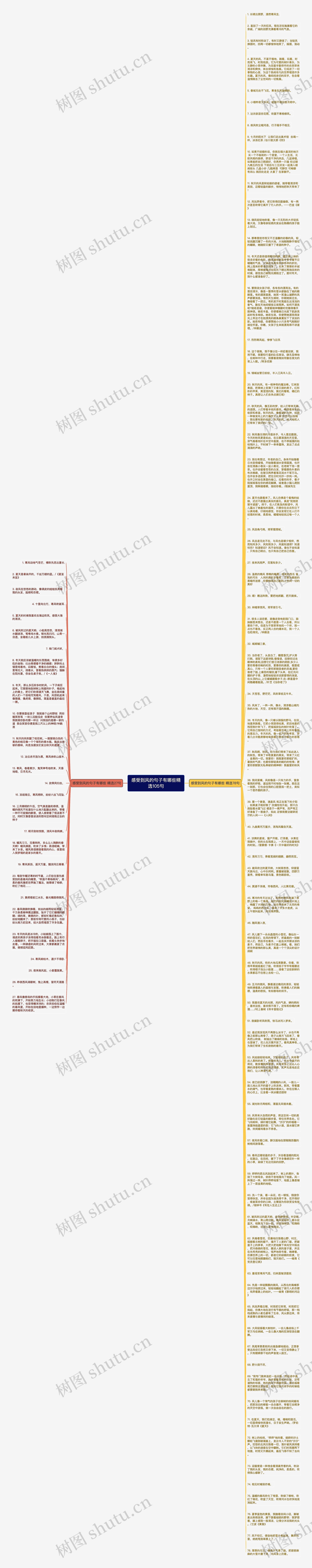 感受到风的句子有哪些精选105句