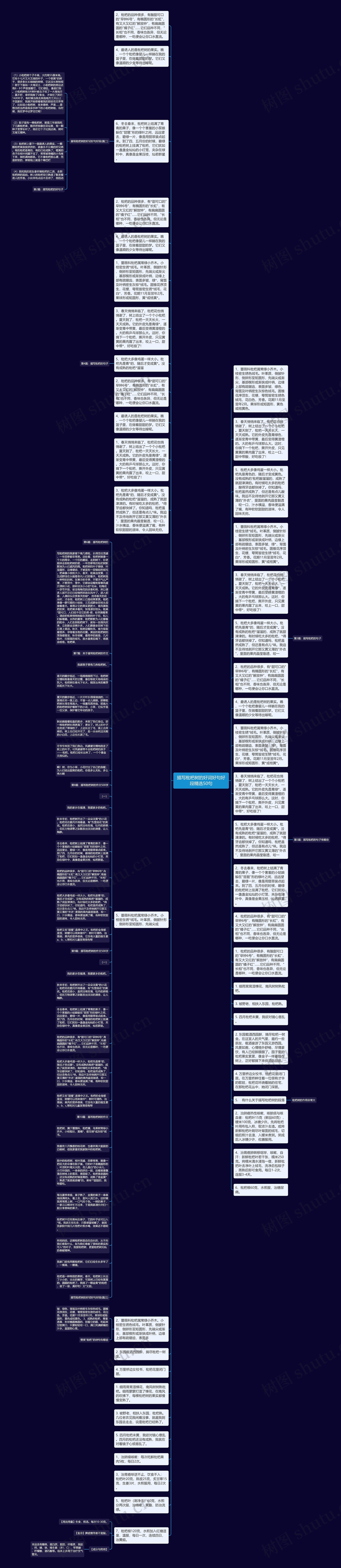 描写枇杷树的好词好句好段精选50句思维导图