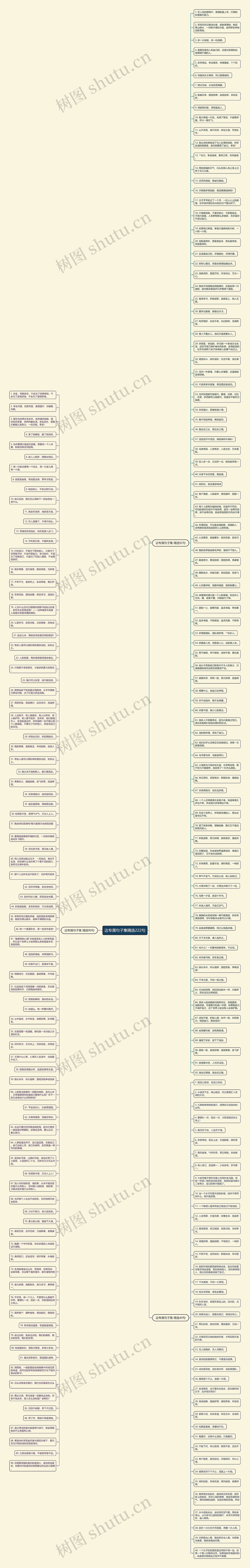 边专属句子集精选222句思维导图