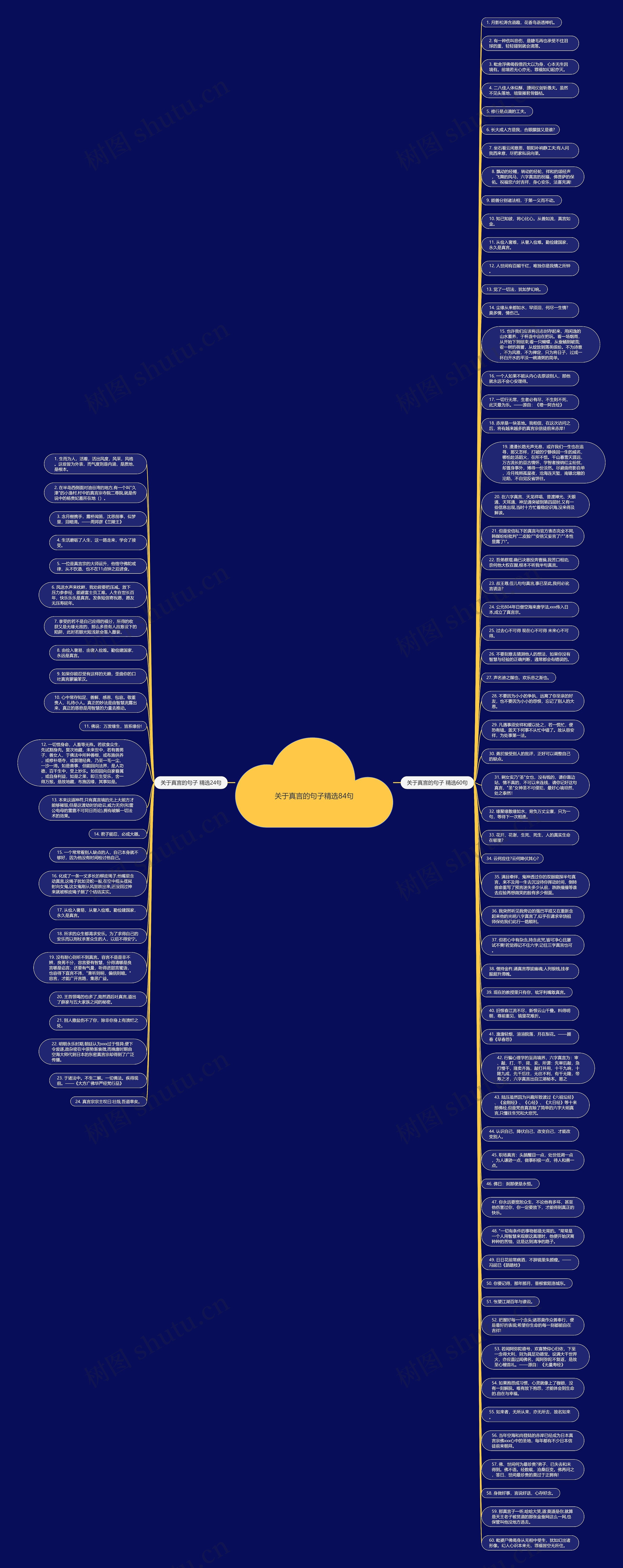 关于真言的句子精选84句思维导图