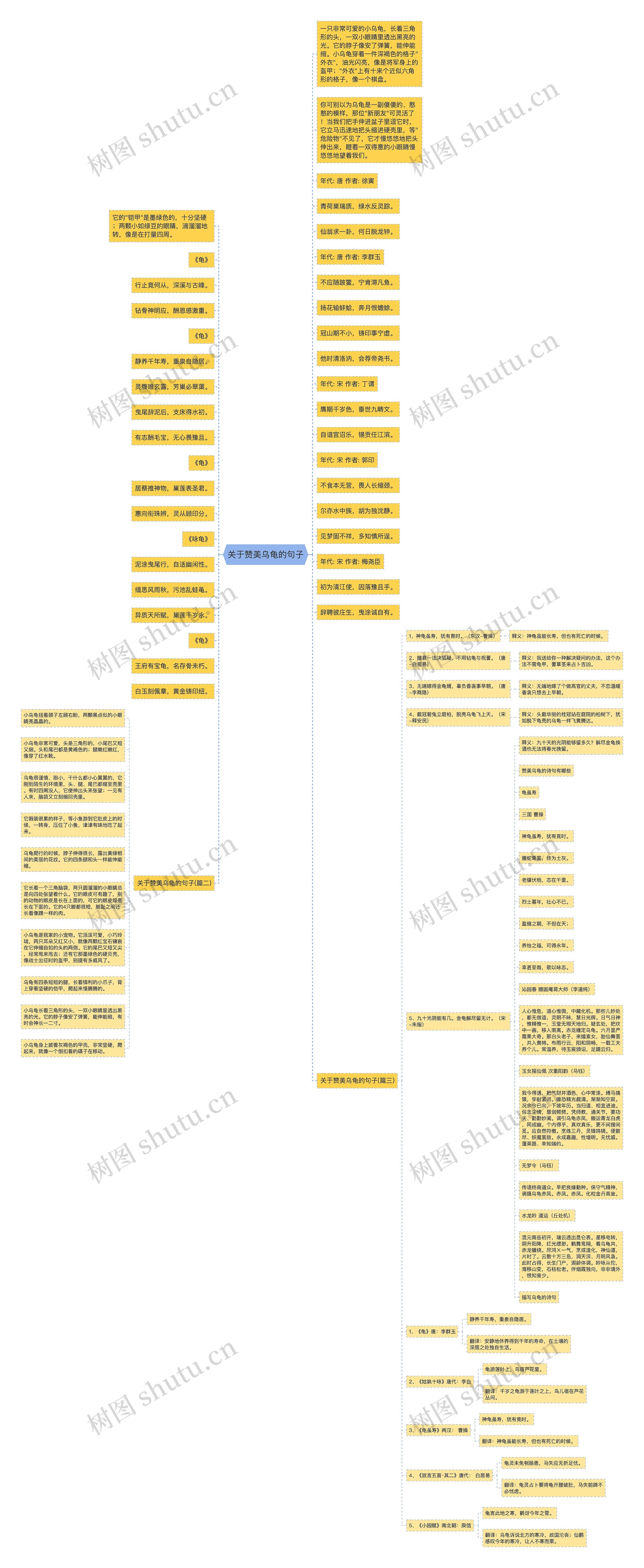关于赞美乌龟的句子 关于赞美乌龟的句子