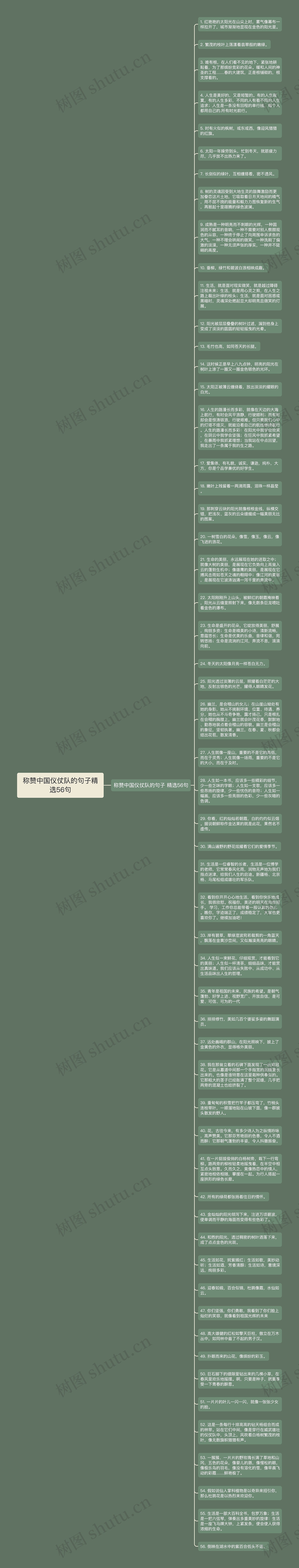 称赞中国仪仗队的句子精选56句