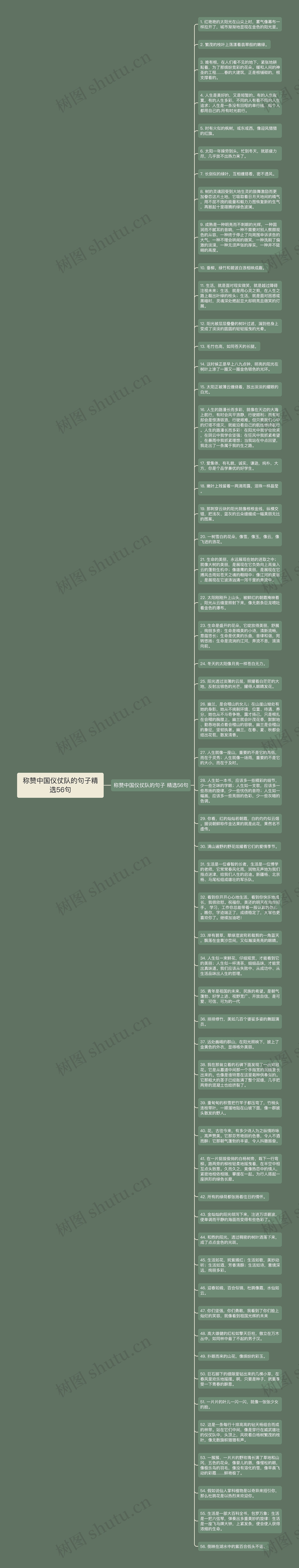 称赞中国仪仗队的句子精选56句思维导图