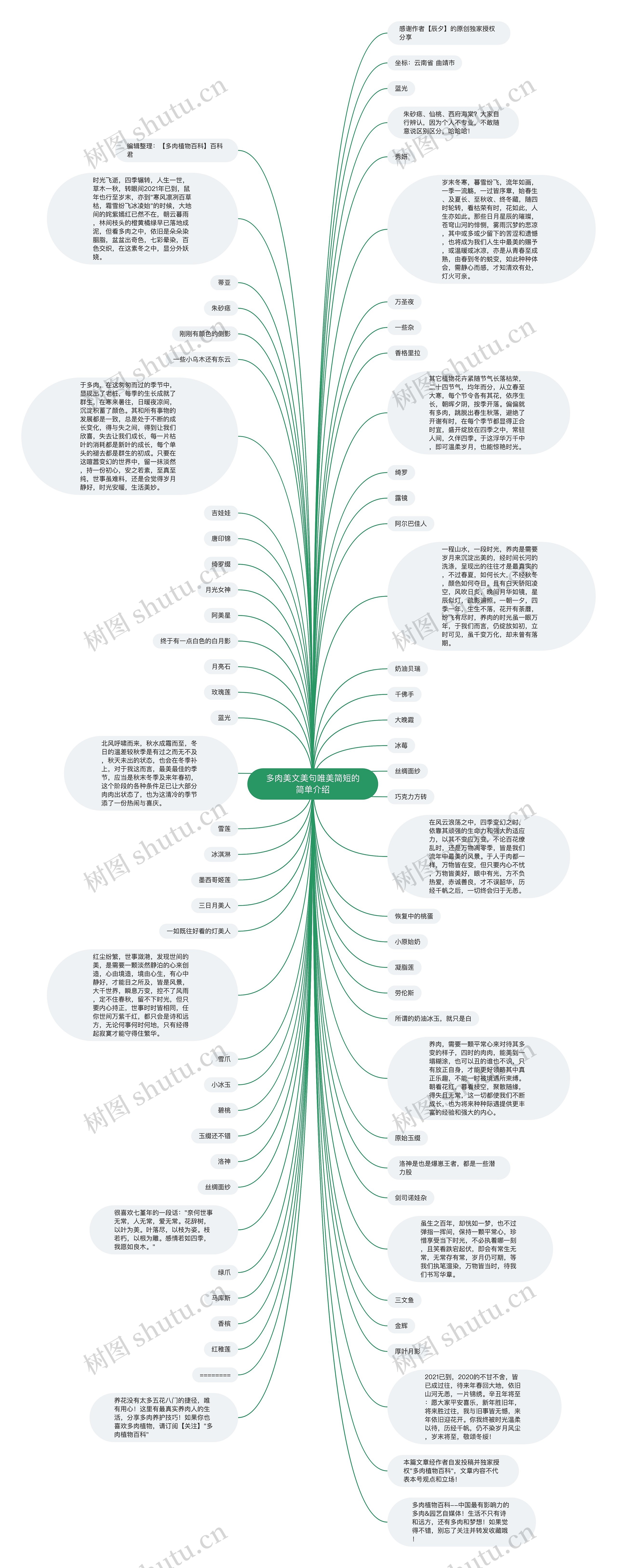 多肉美文美句唯美简短的简单介绍思维导图