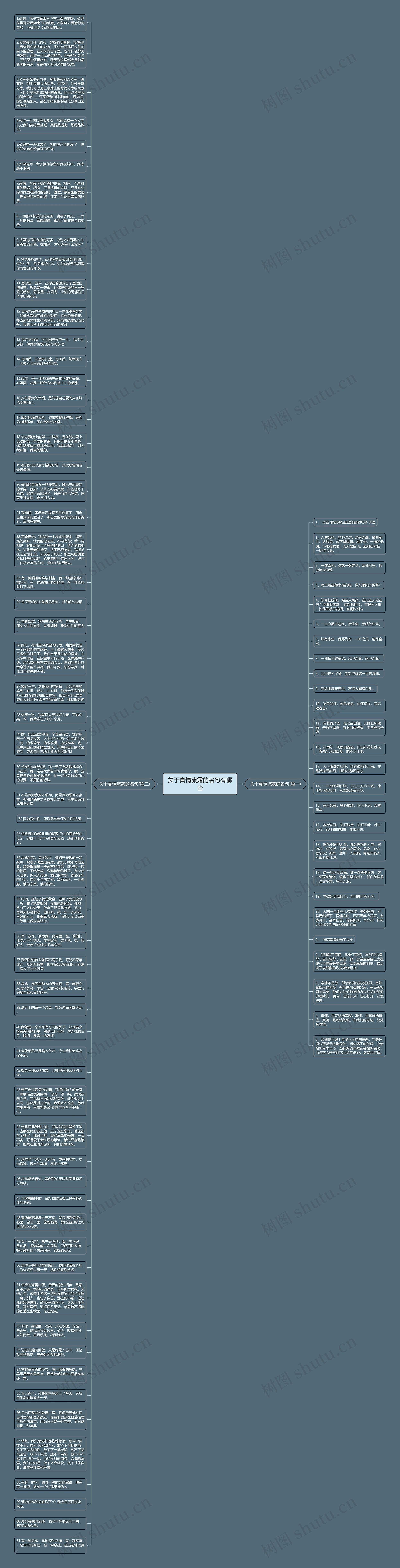 关于真情流露的名句有哪些思维导图