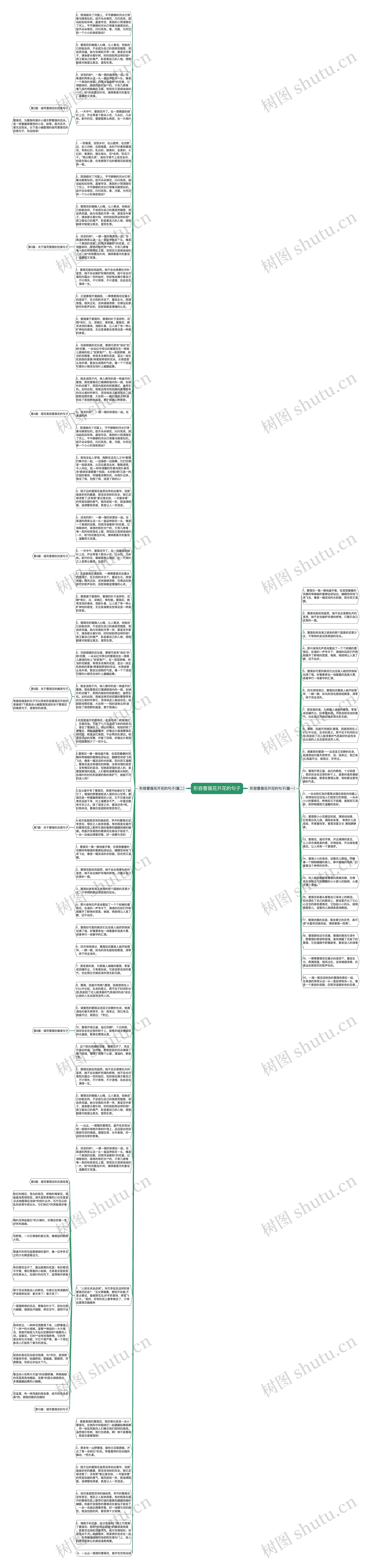 形容蔷薇花开花的句子思维导图