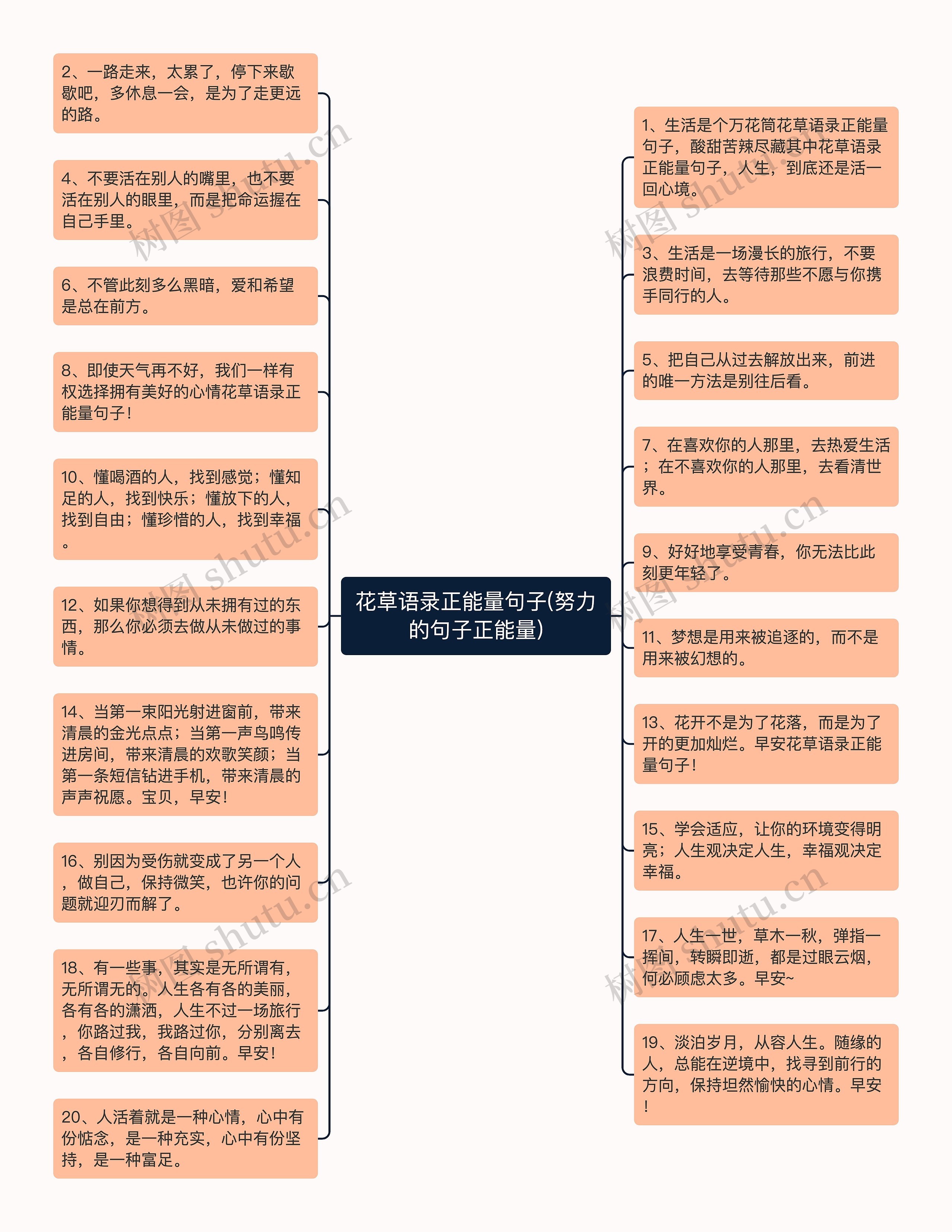 花草语录正能量句子(努力的句子正能量)思维导图