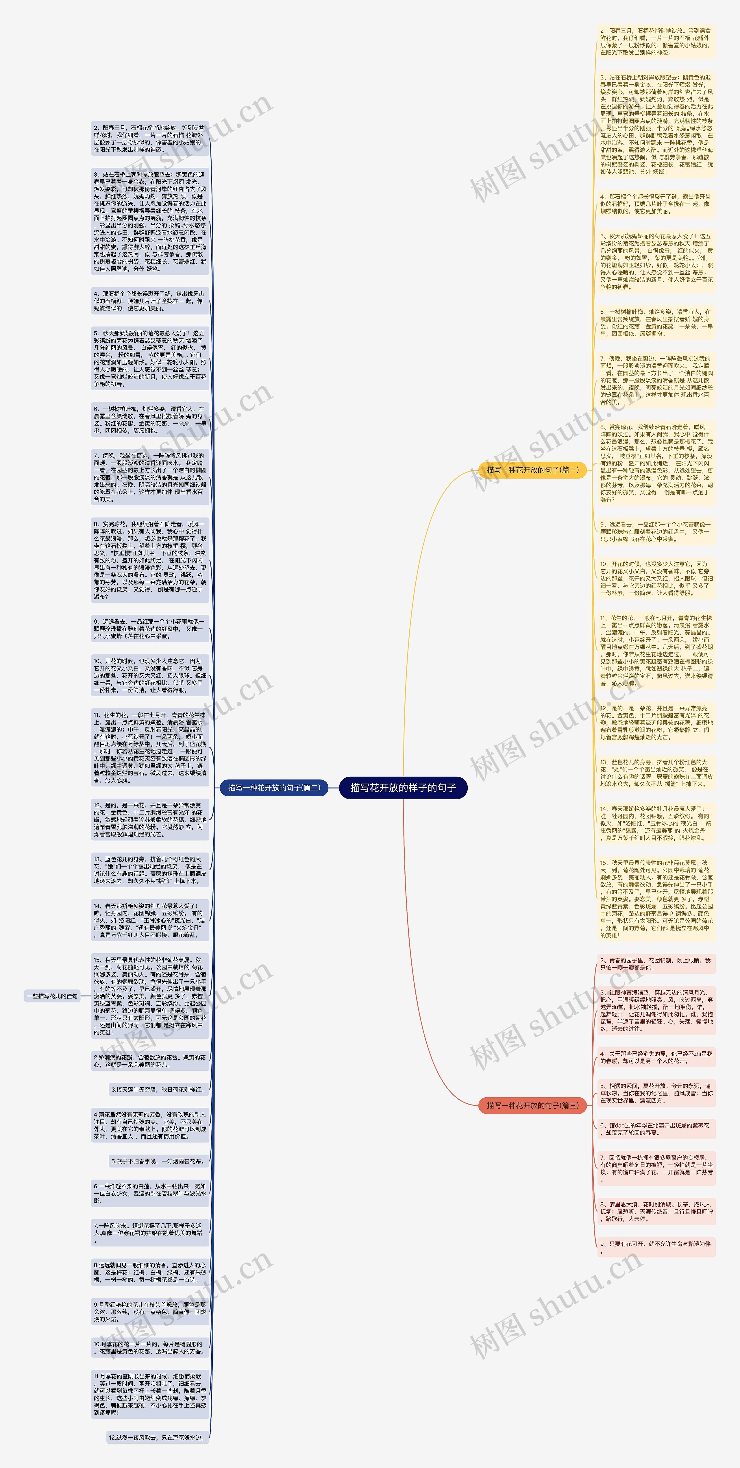 描写花开放的样子的句子思维导图