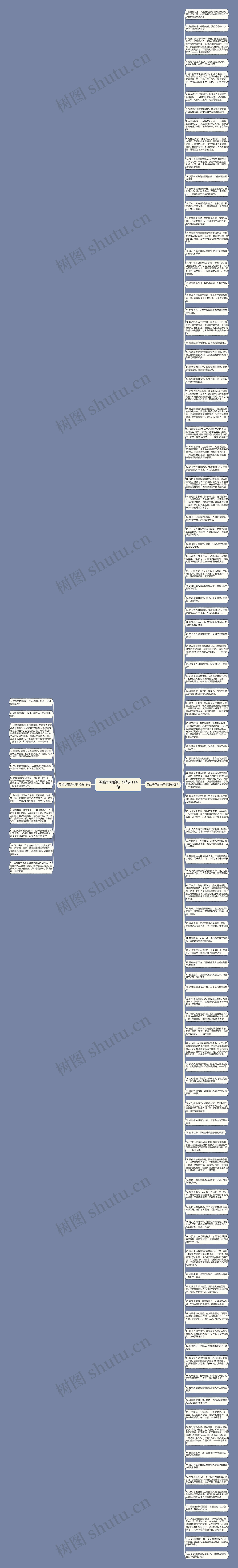 黑暗华丽的句子精选114句思维导图