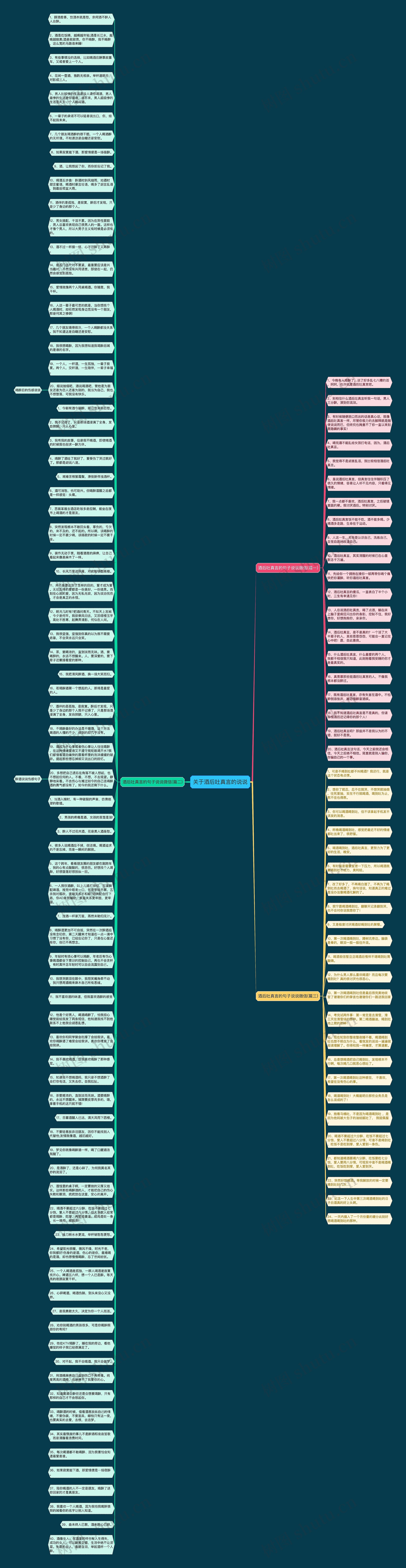 关于酒后吐真言的说说思维导图
