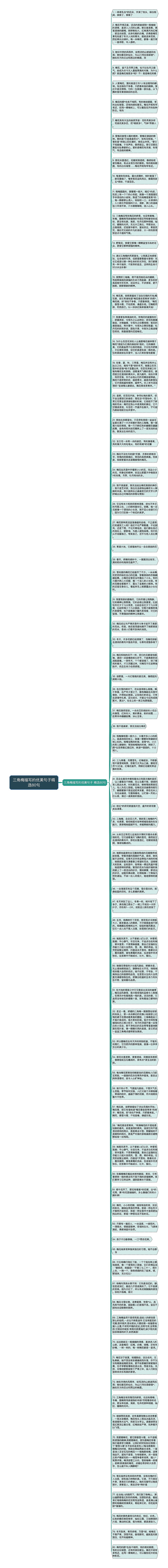 三角梅描写的优美句子精选80句