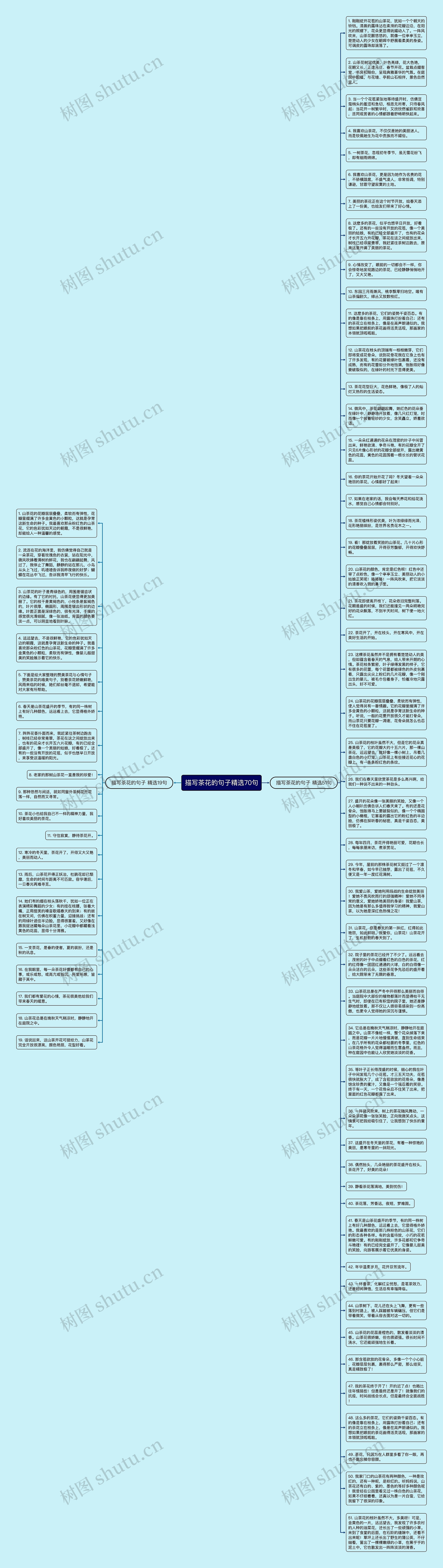 描写茶花的句子精选70句思维导图
