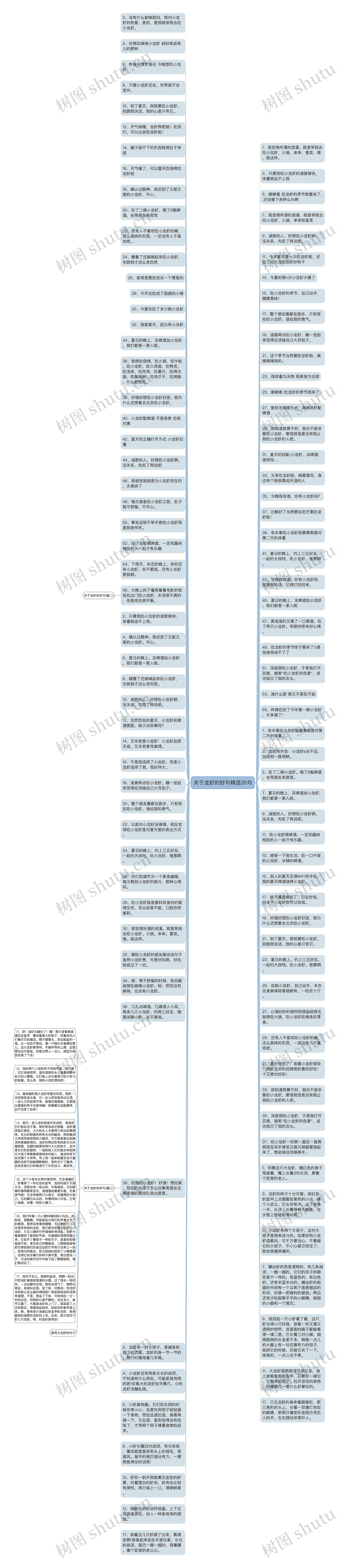 关于龙虾的好句精选35句思维导图