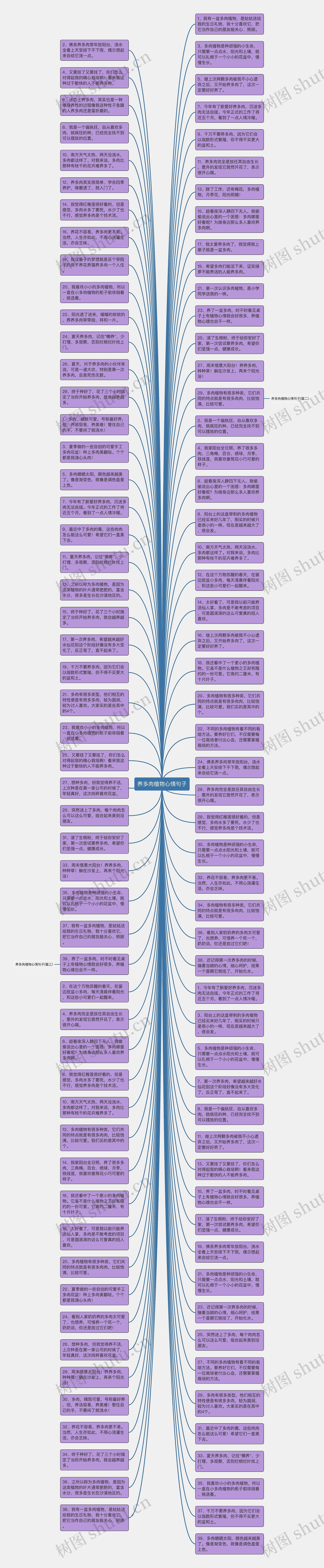 养多肉植物心情句子思维导图