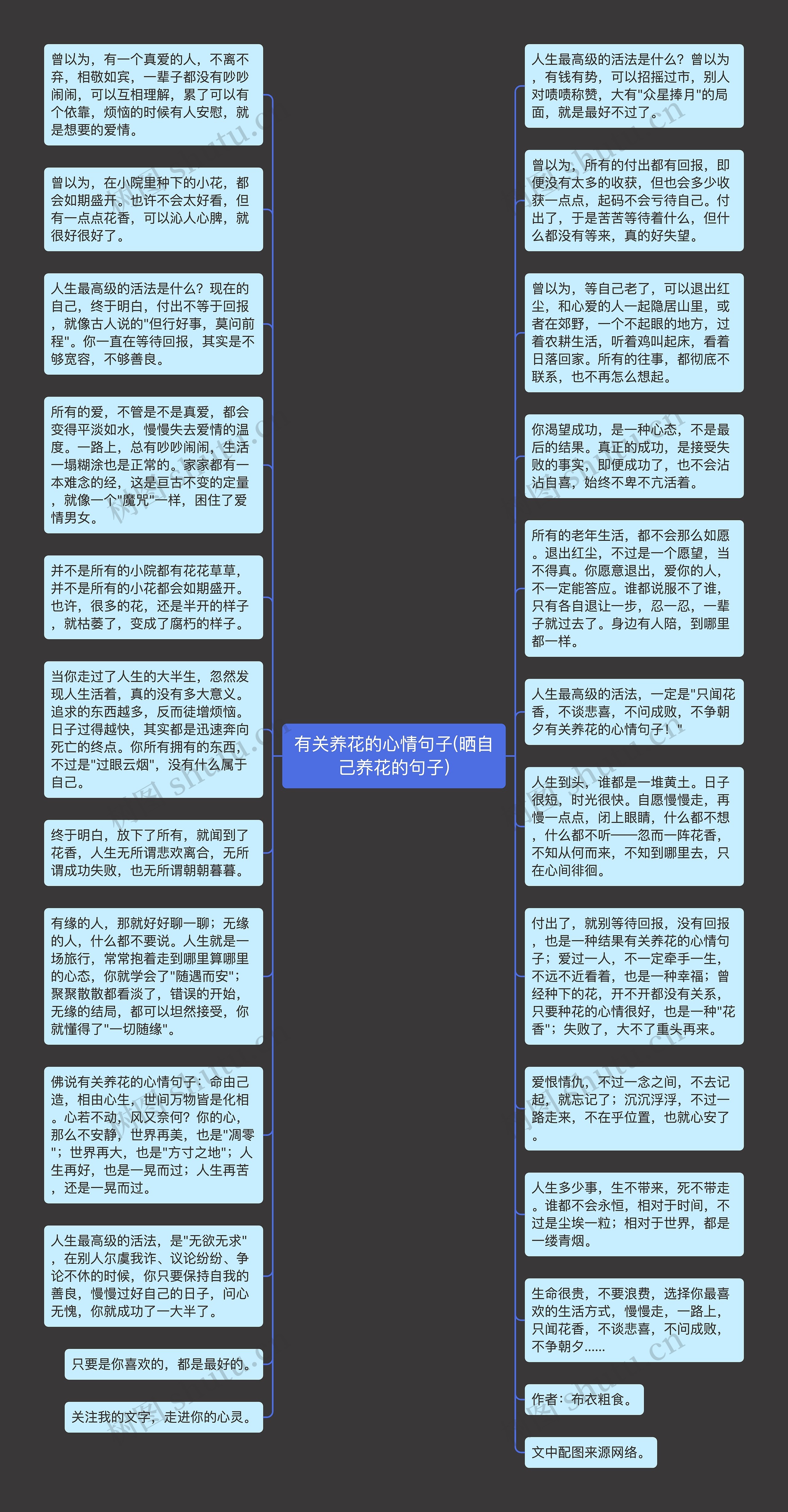 有关养花的心情句子(晒自己养花的句子)思维导图