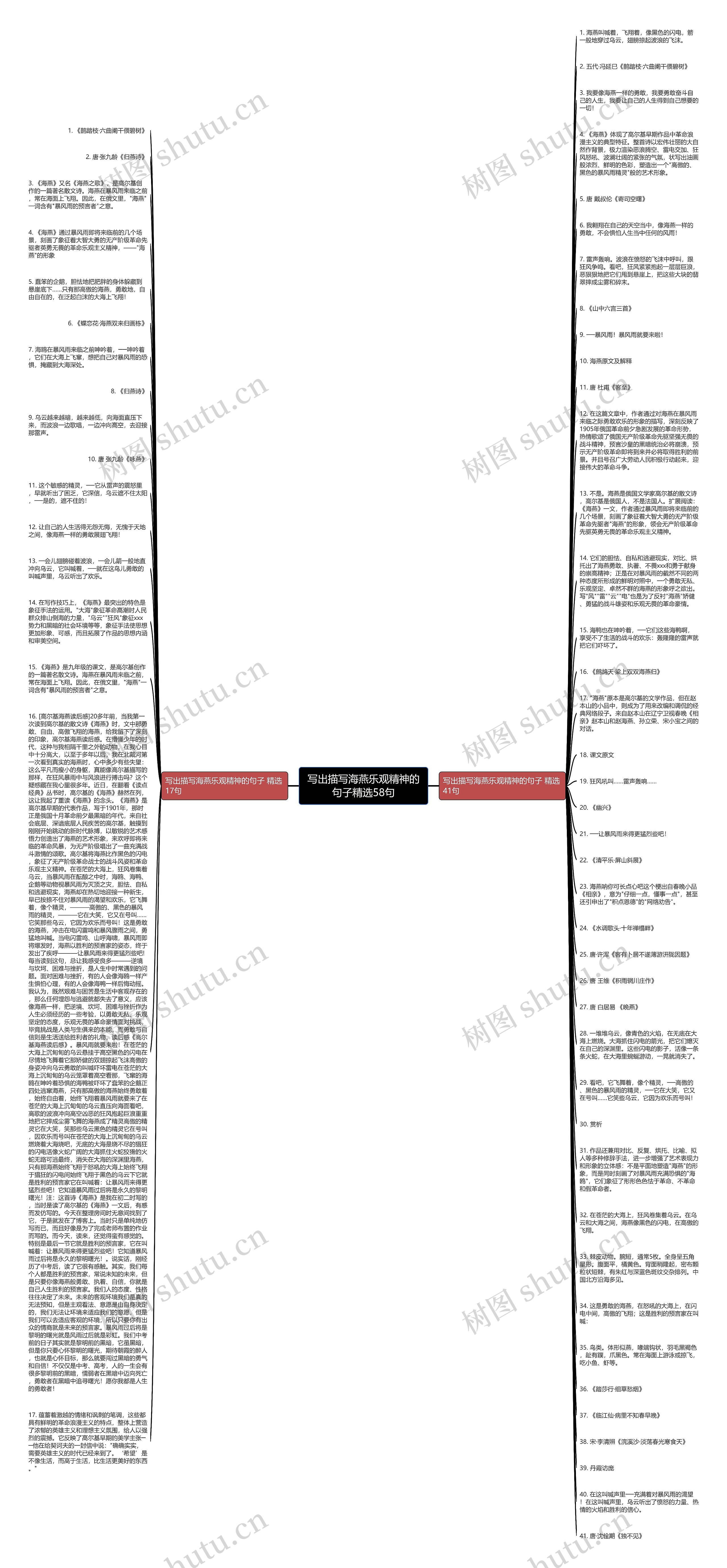 写出描写海燕乐观精神的句子精选58句思维导图